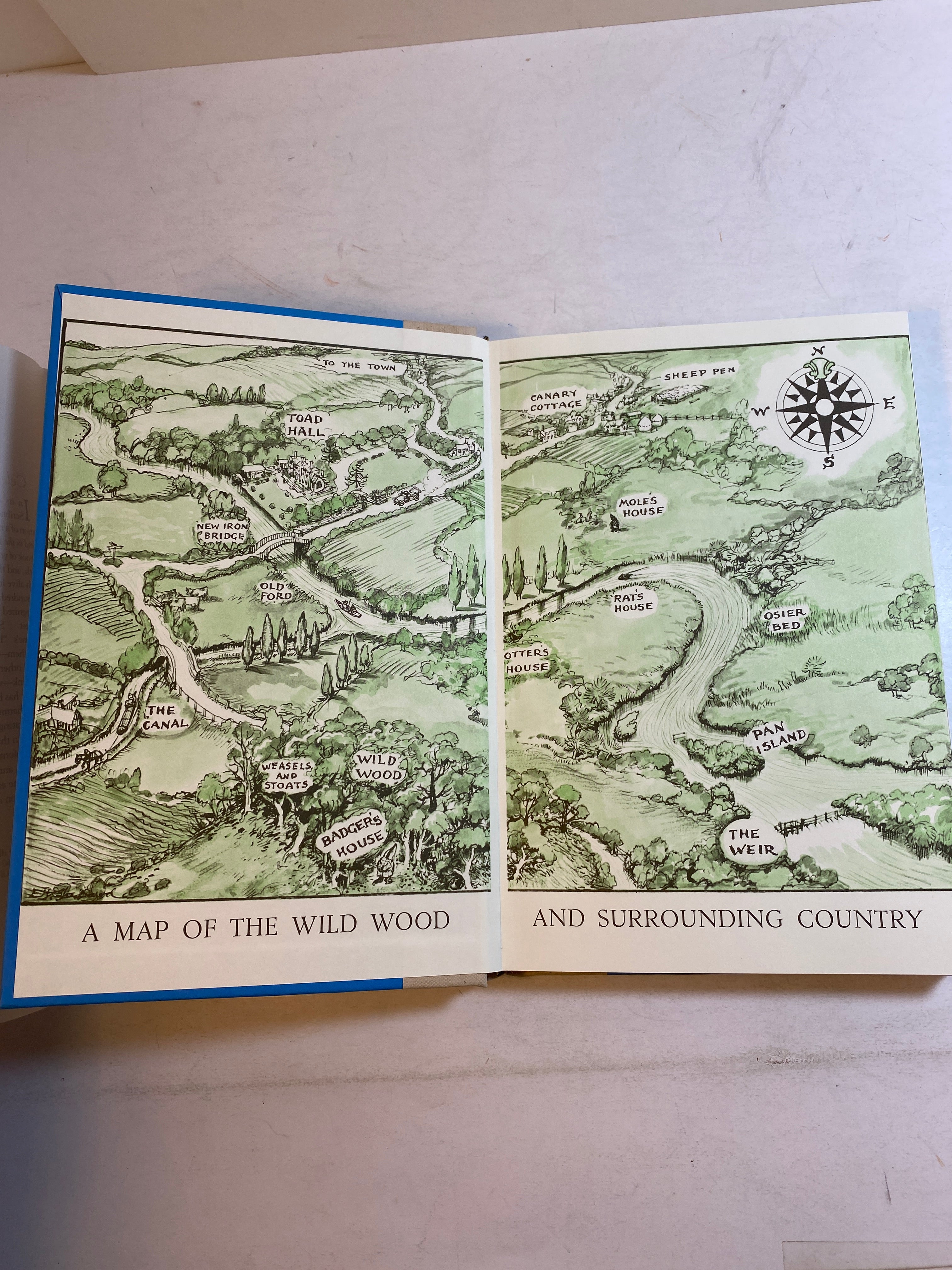 Wind in the Willows Kenneth Grahame 1983 HCDJ