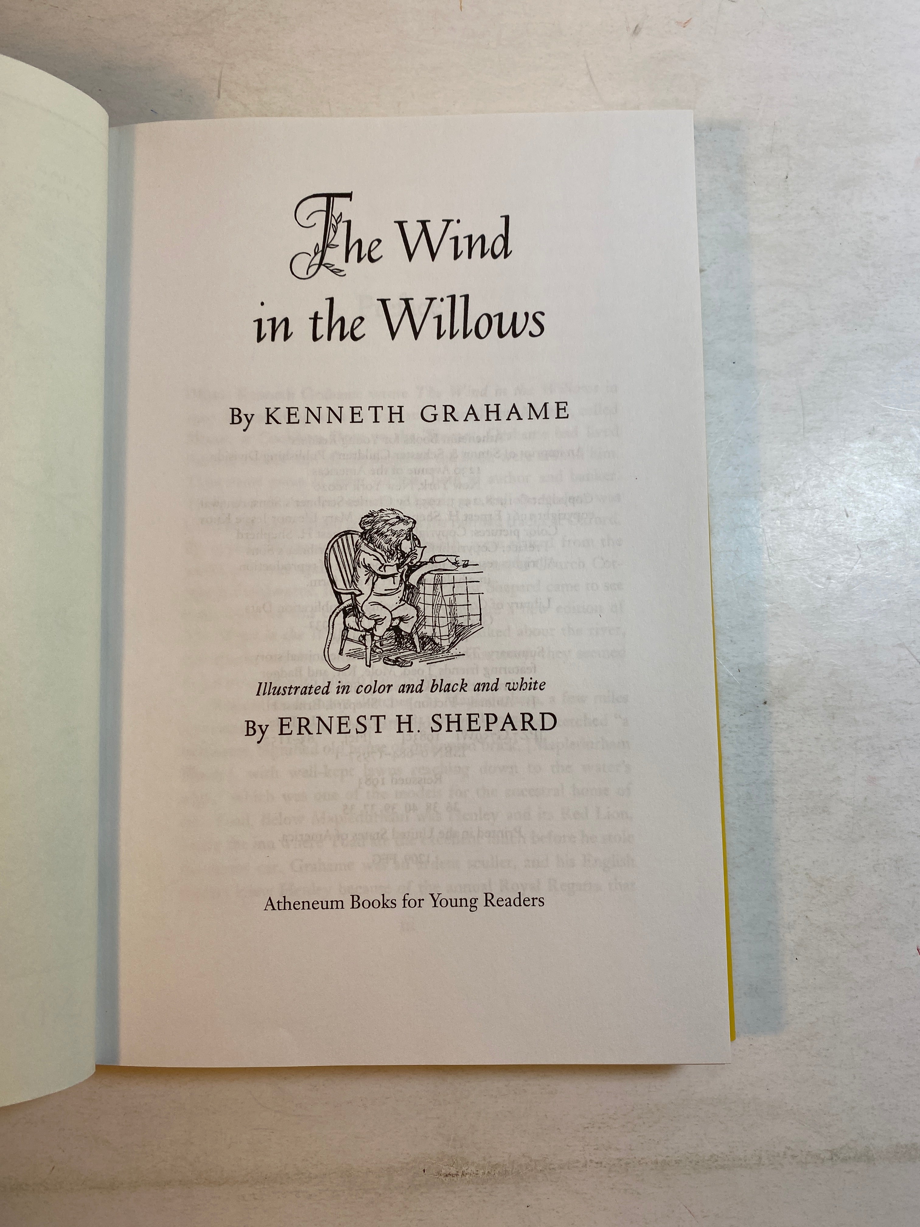 Wind in the Willows Kenneth Grahame 1983 HCDJ