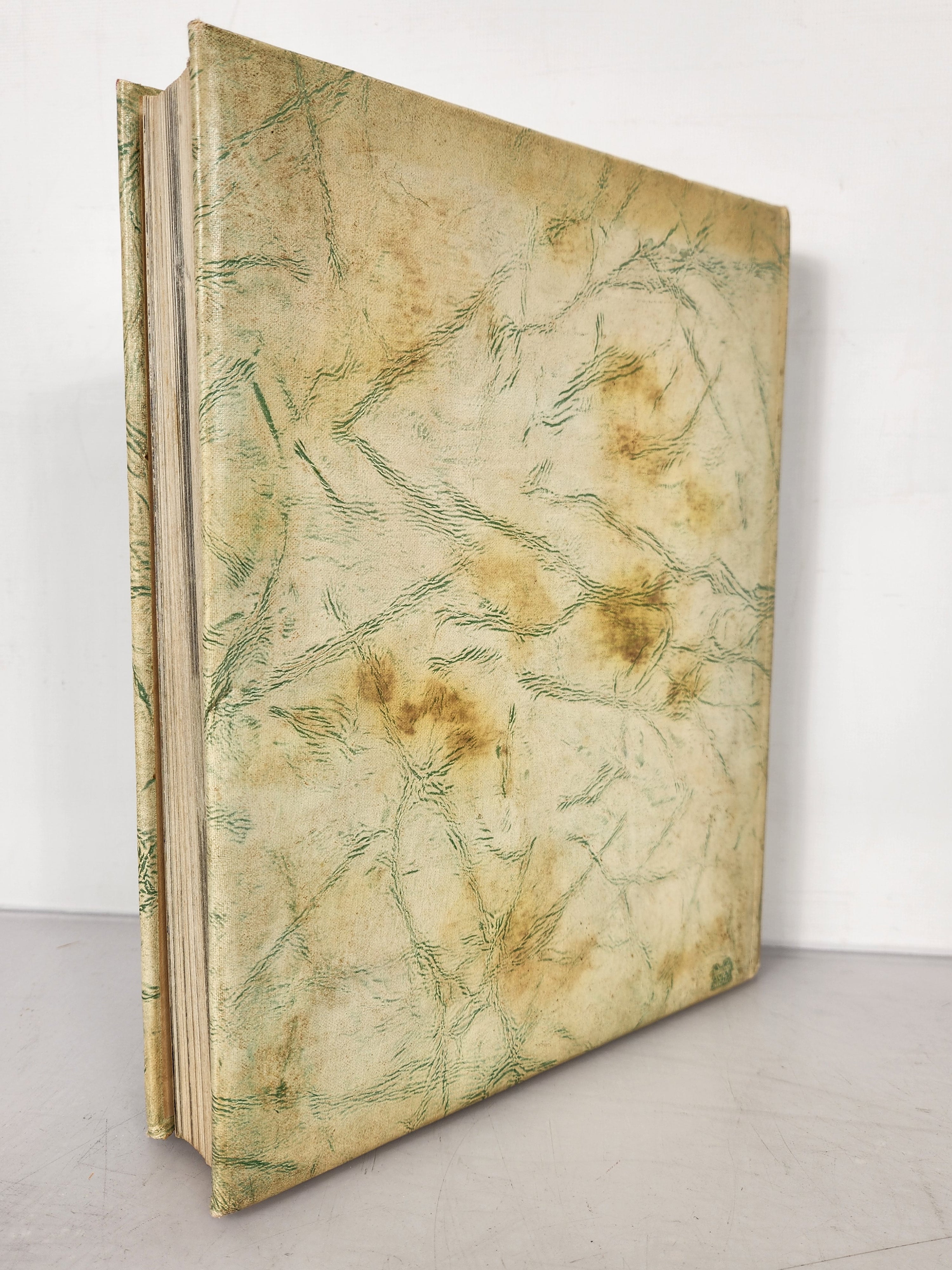 1948 Michigan State College Yearbook Wolverine