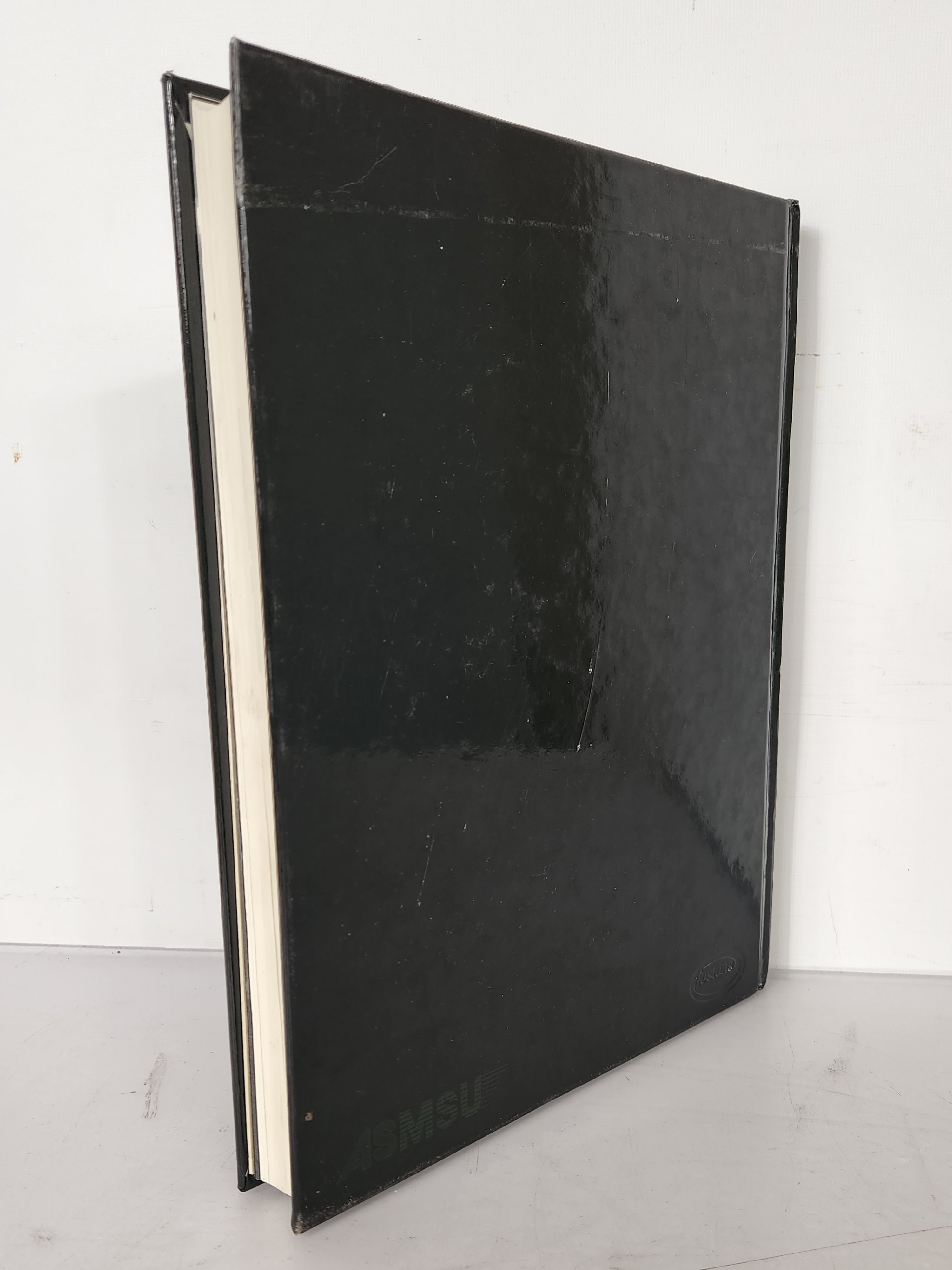 2001 Michigan State University Yearbook Red Cedar Log