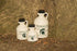 Spartan Pure Maple Syrup