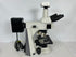 Nikon Eclipse 50i Microscope