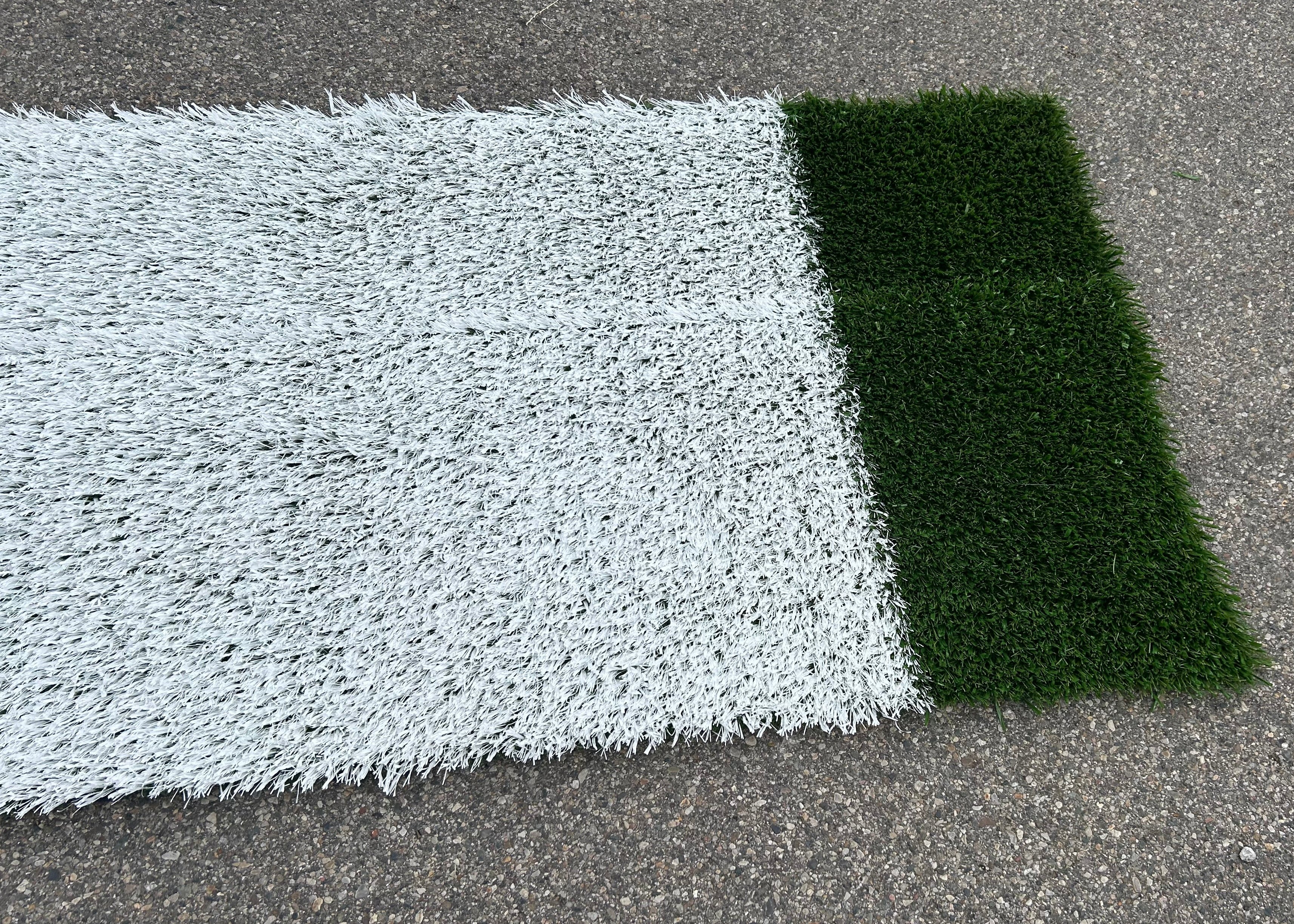 MSU Football Practice Turf #12 (Auction)