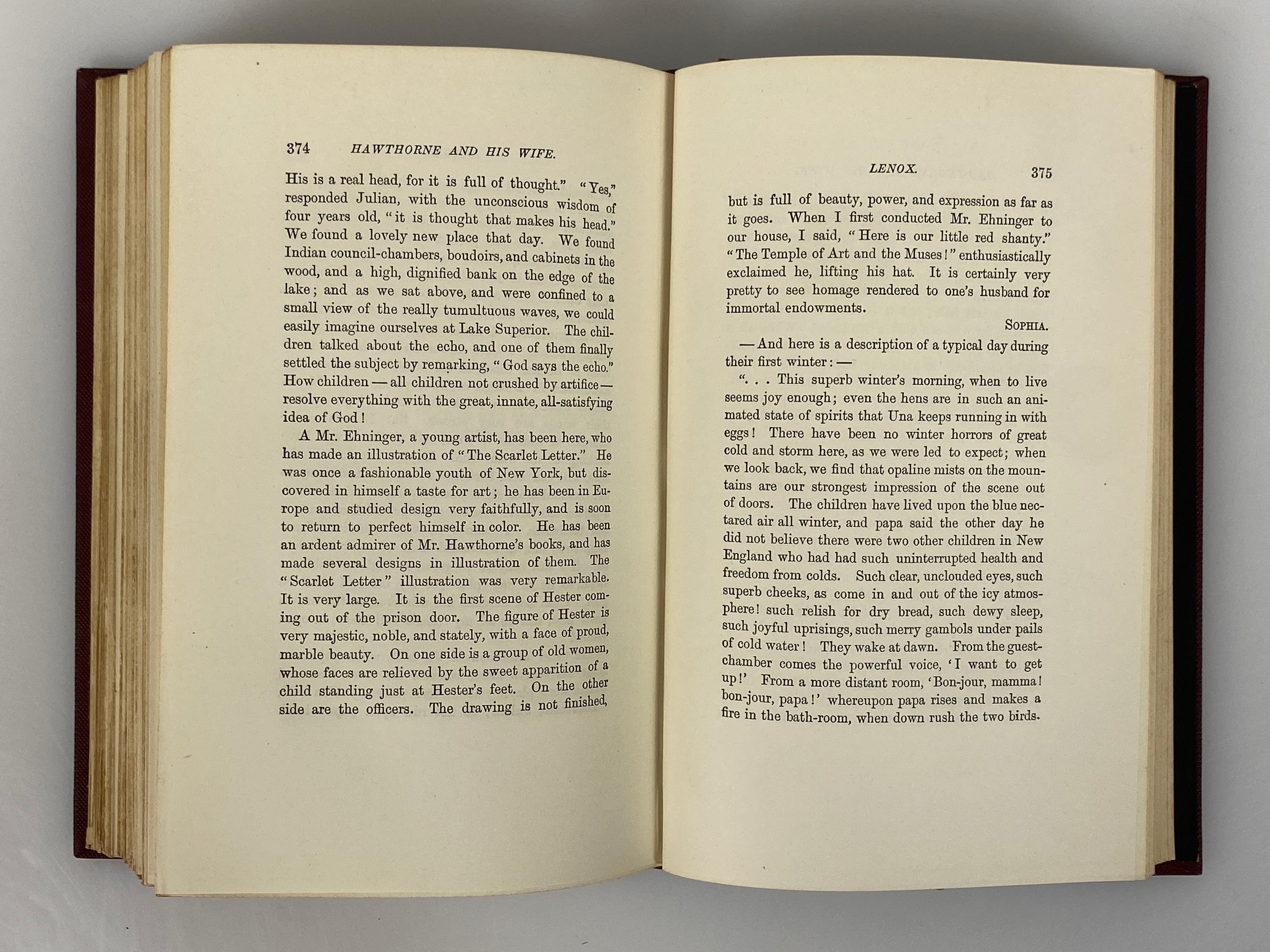 13 Volumes: Hawthorne's Works 1882-1891 Houghton Mifflin Antique HC