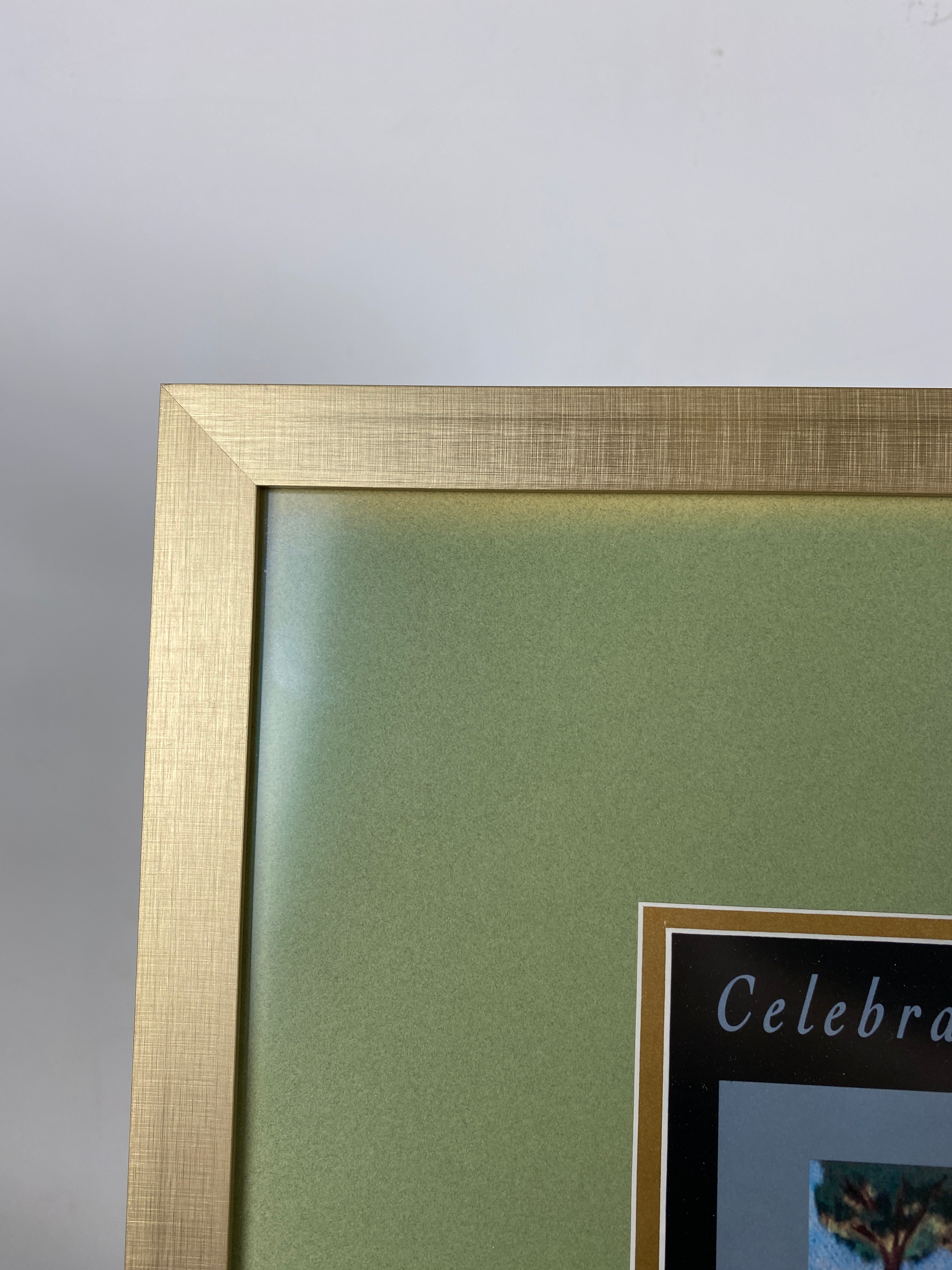 150th Anniversary Michigan State University Commemoration Poster