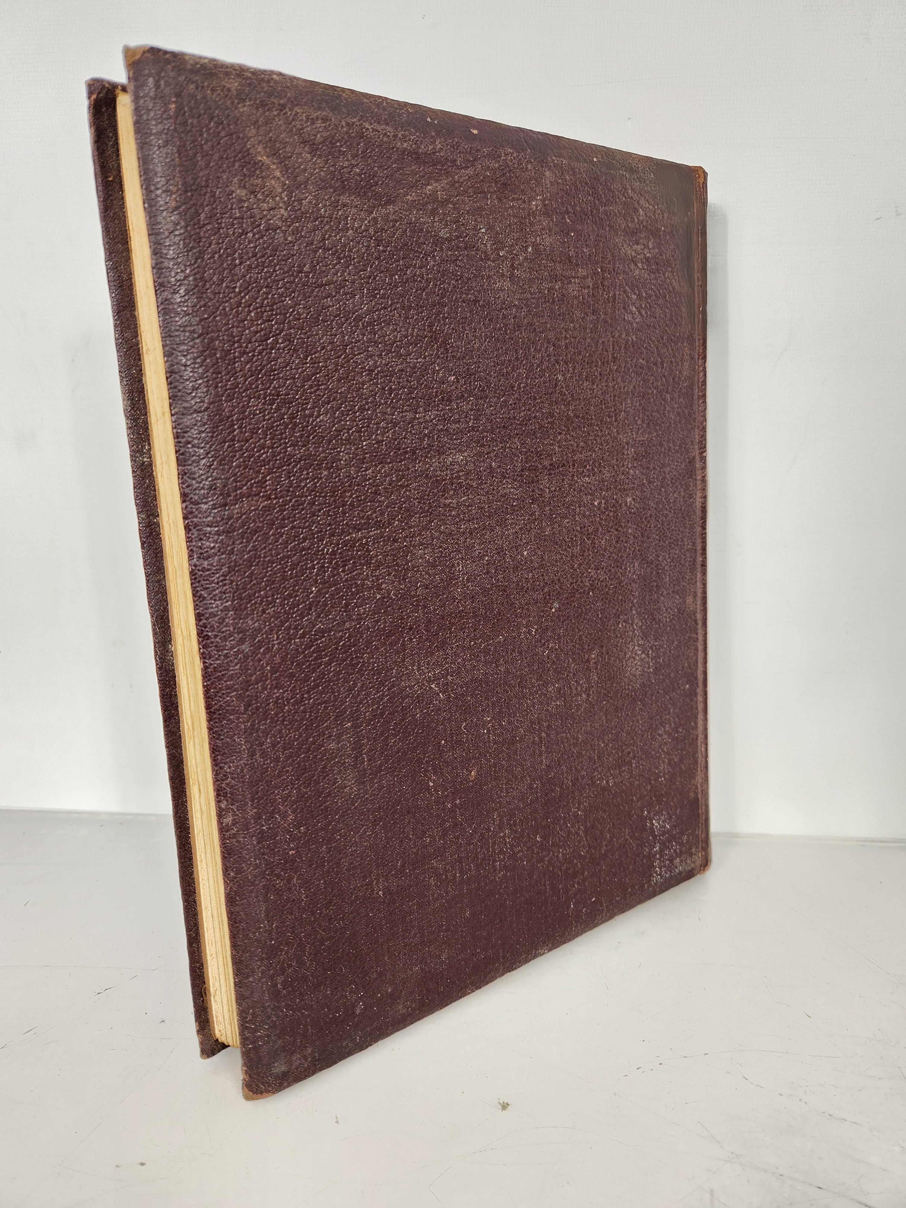 1919 Michigan Agricultural College Yearbook Wolverine