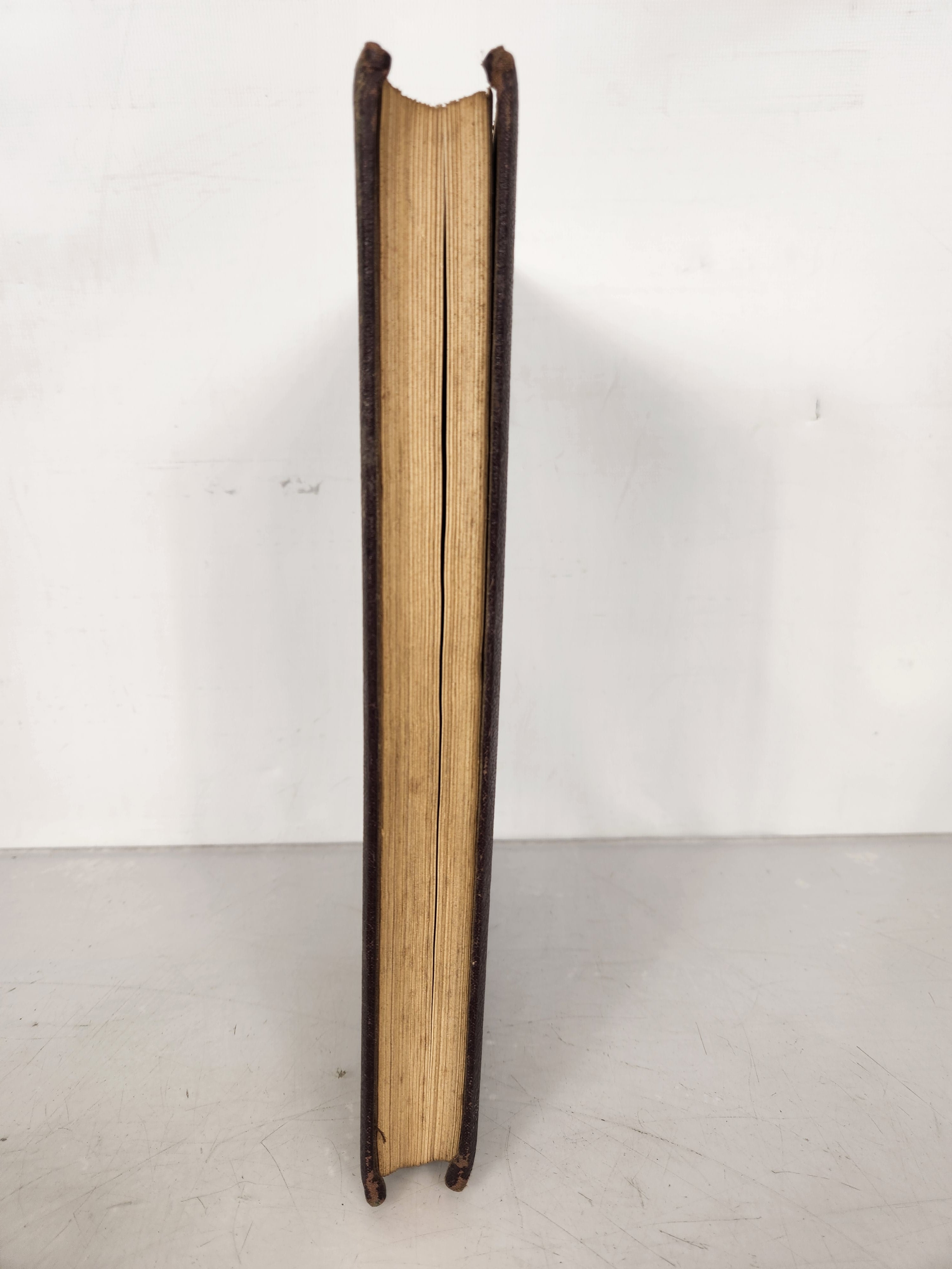 1919 Michigan Agricultural College Yearbook Wolverine