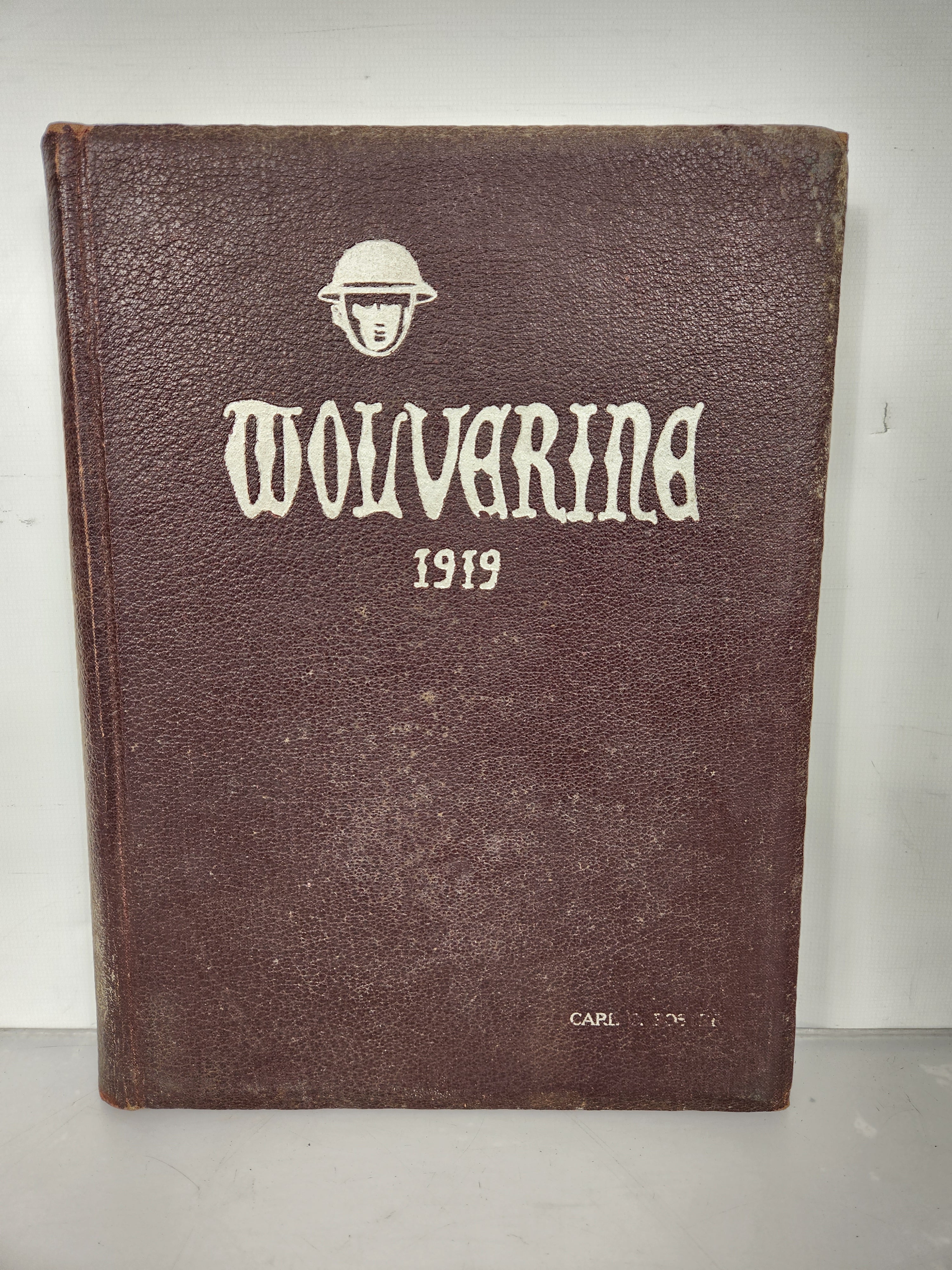1919 Michigan Agricultural College Yearbook Wolverine