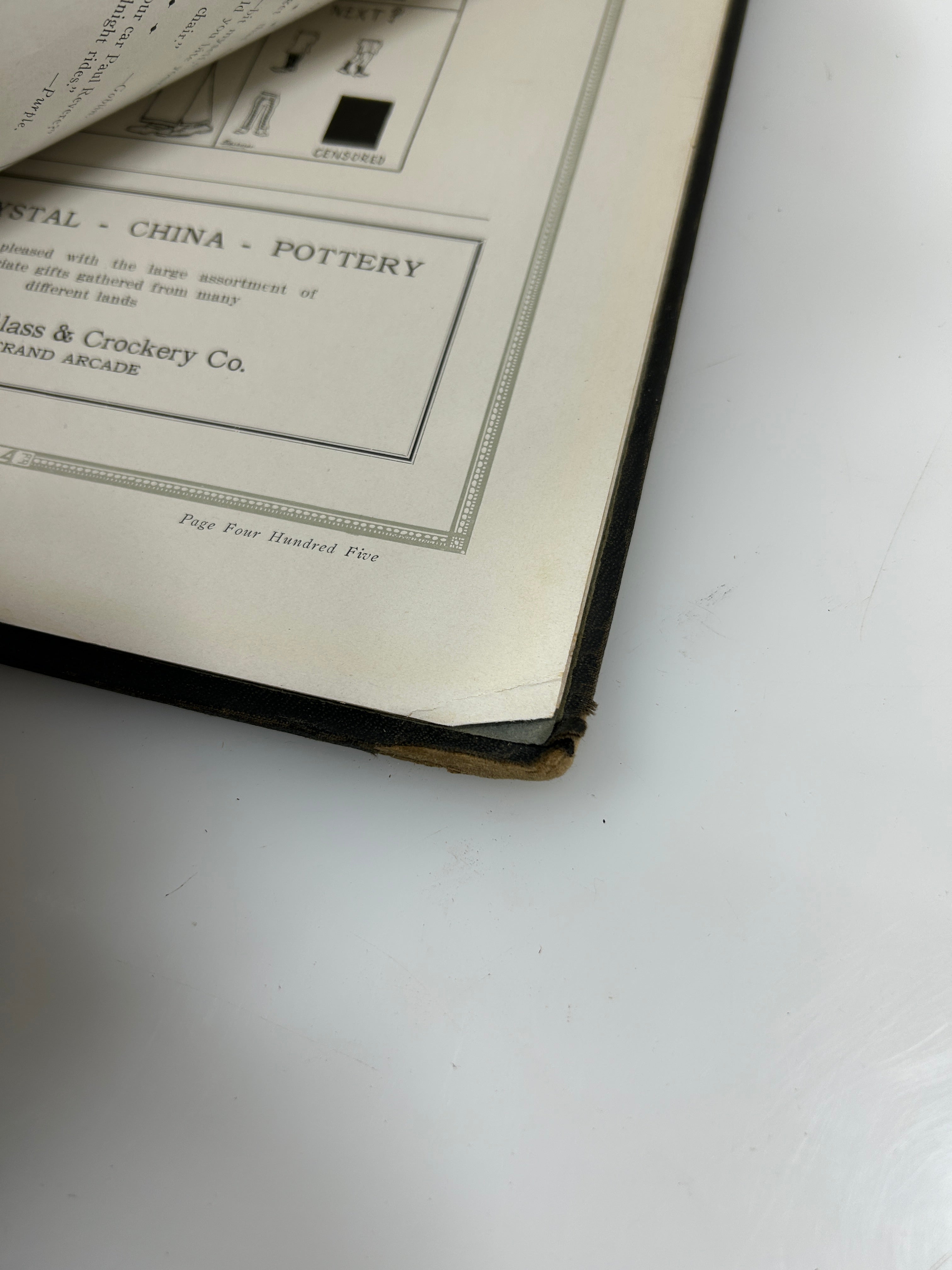 1924 Michigan Agricultural College Yearbook Wolverine