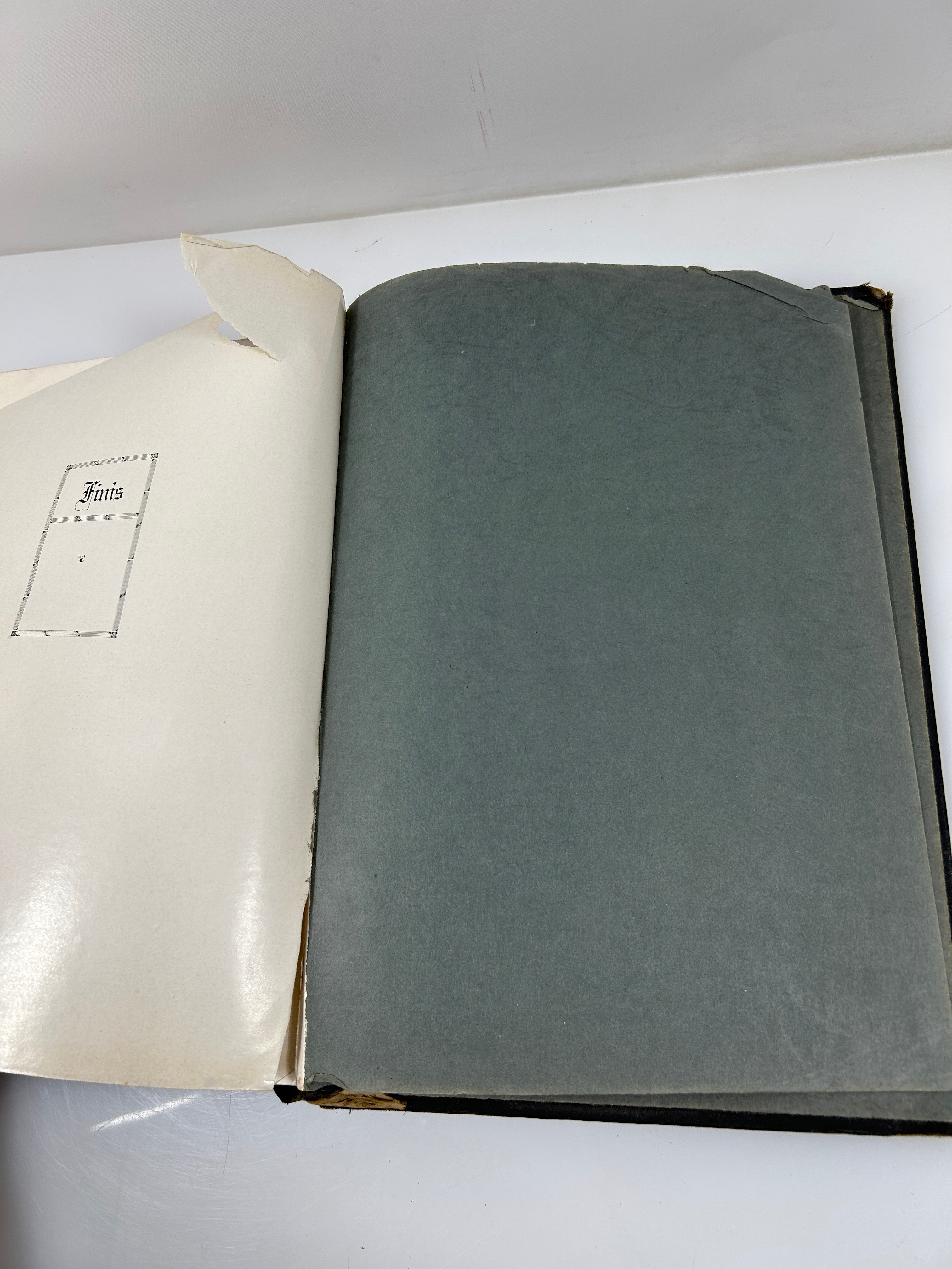 1924 Michigan Agricultural College Yearbook Wolverine