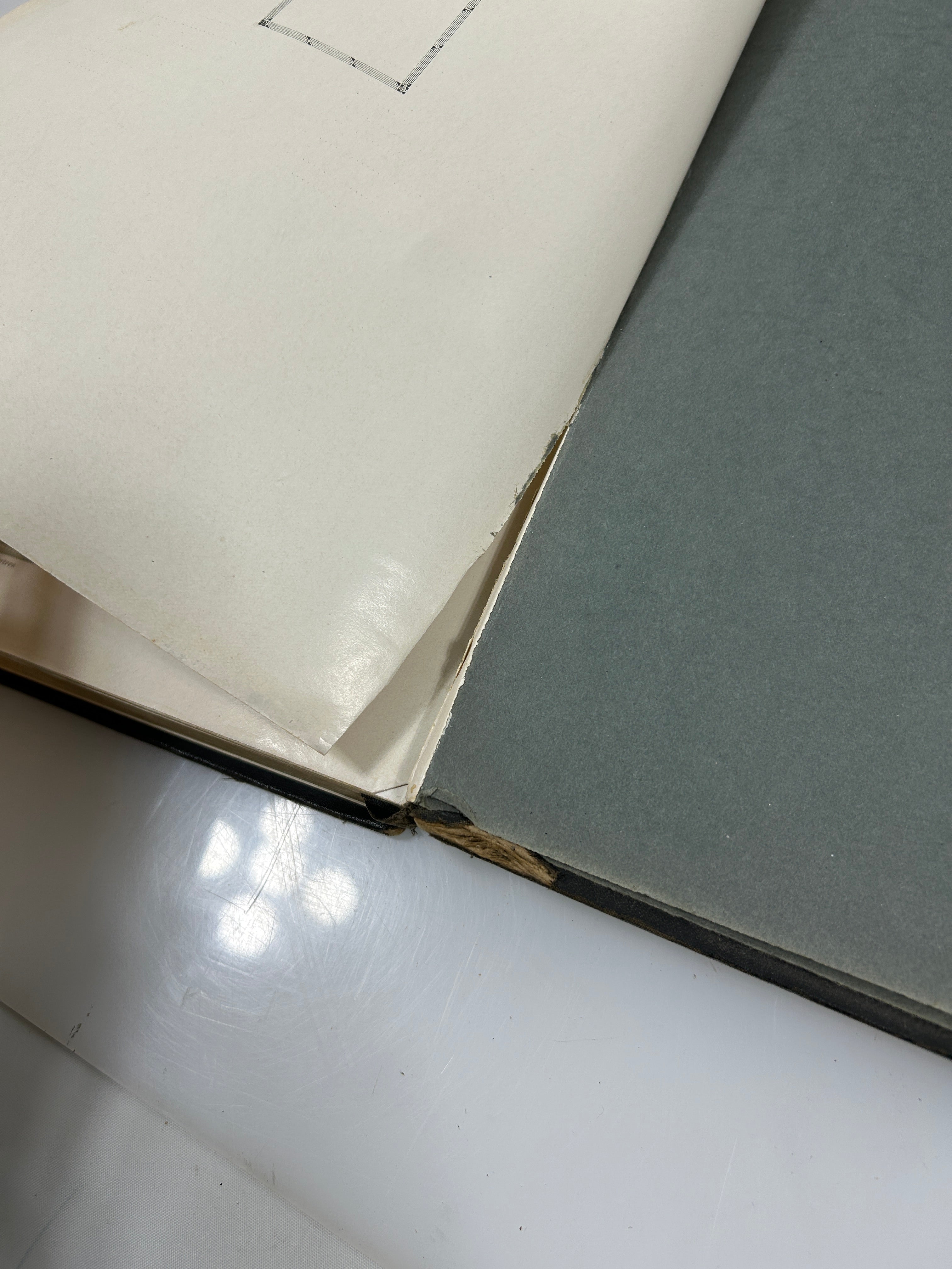 1924 Michigan Agricultural College Yearbook Wolverine