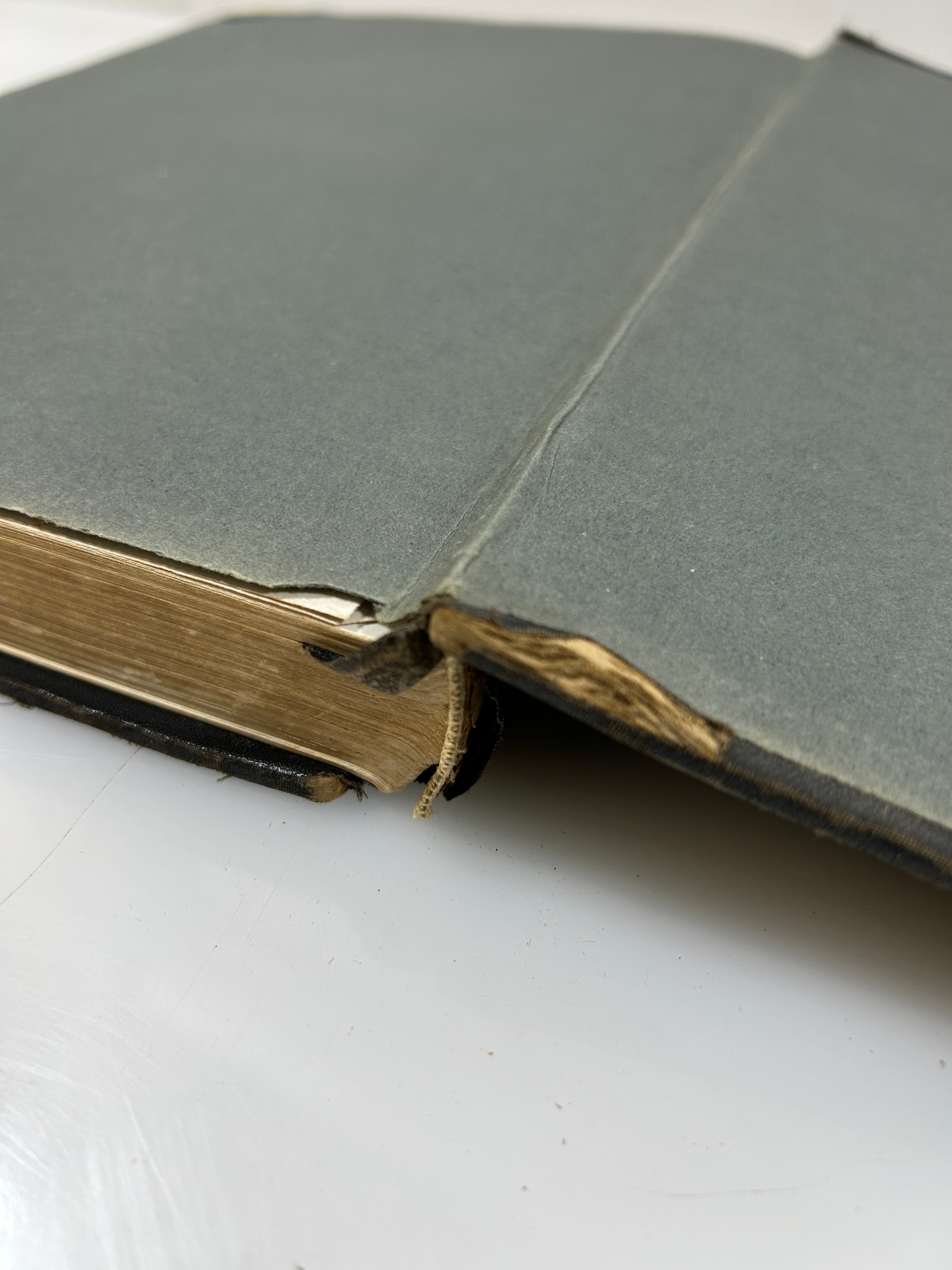 1924 Michigan Agricultural College Yearbook Wolverine