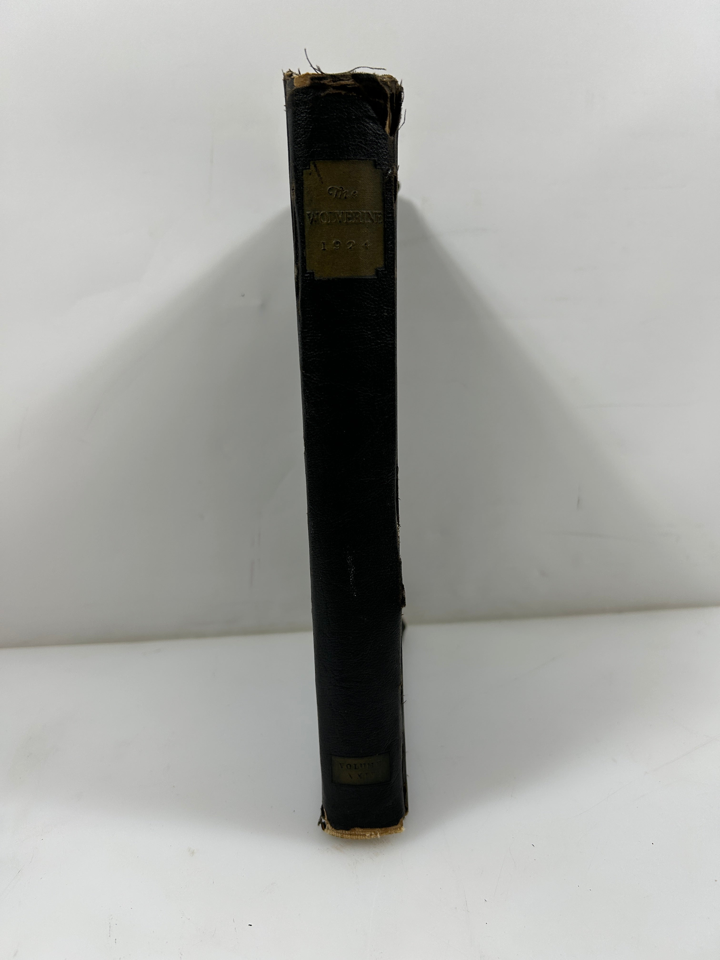 1924 Michigan Agricultural College Yearbook Wolverine