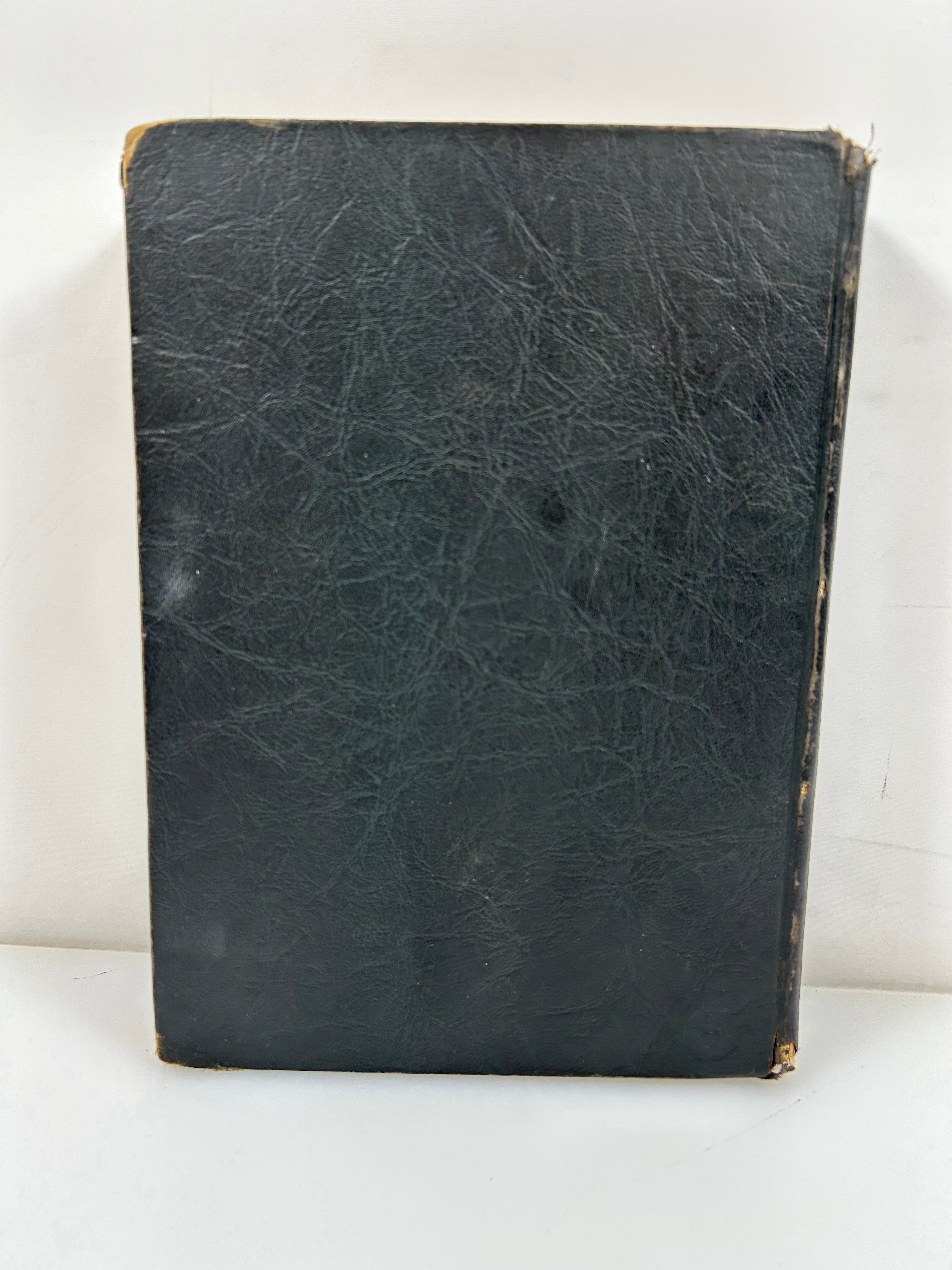 1924 Michigan Agricultural College Yearbook Wolverine