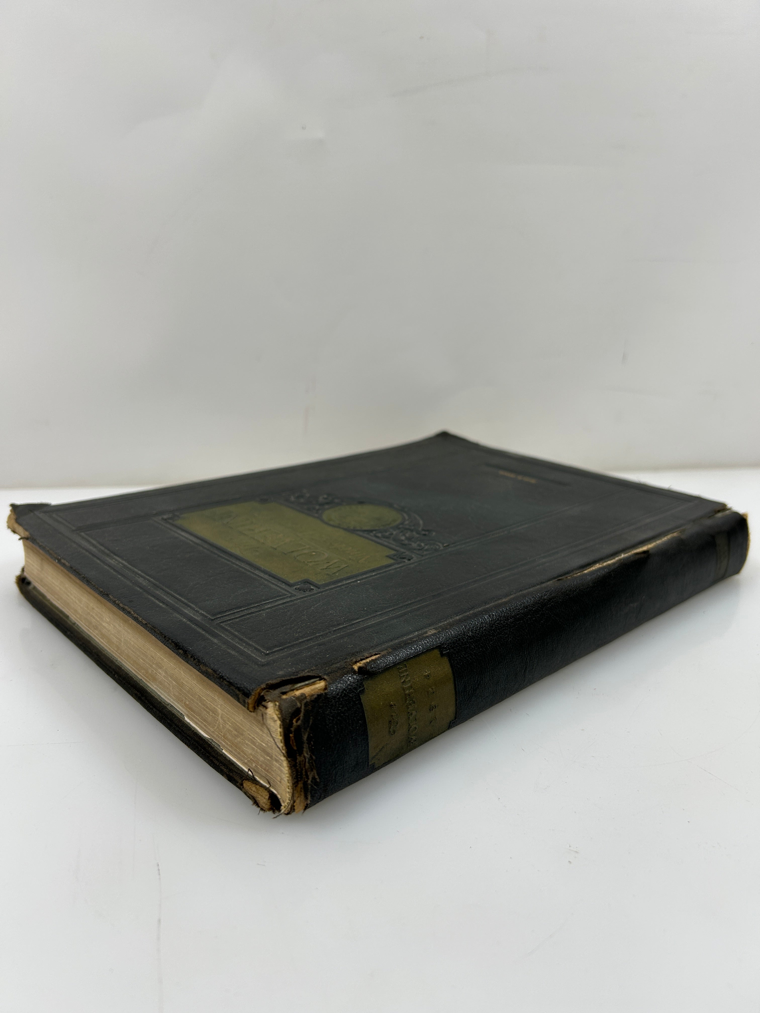 1924 Michigan Agricultural College Yearbook Wolverine