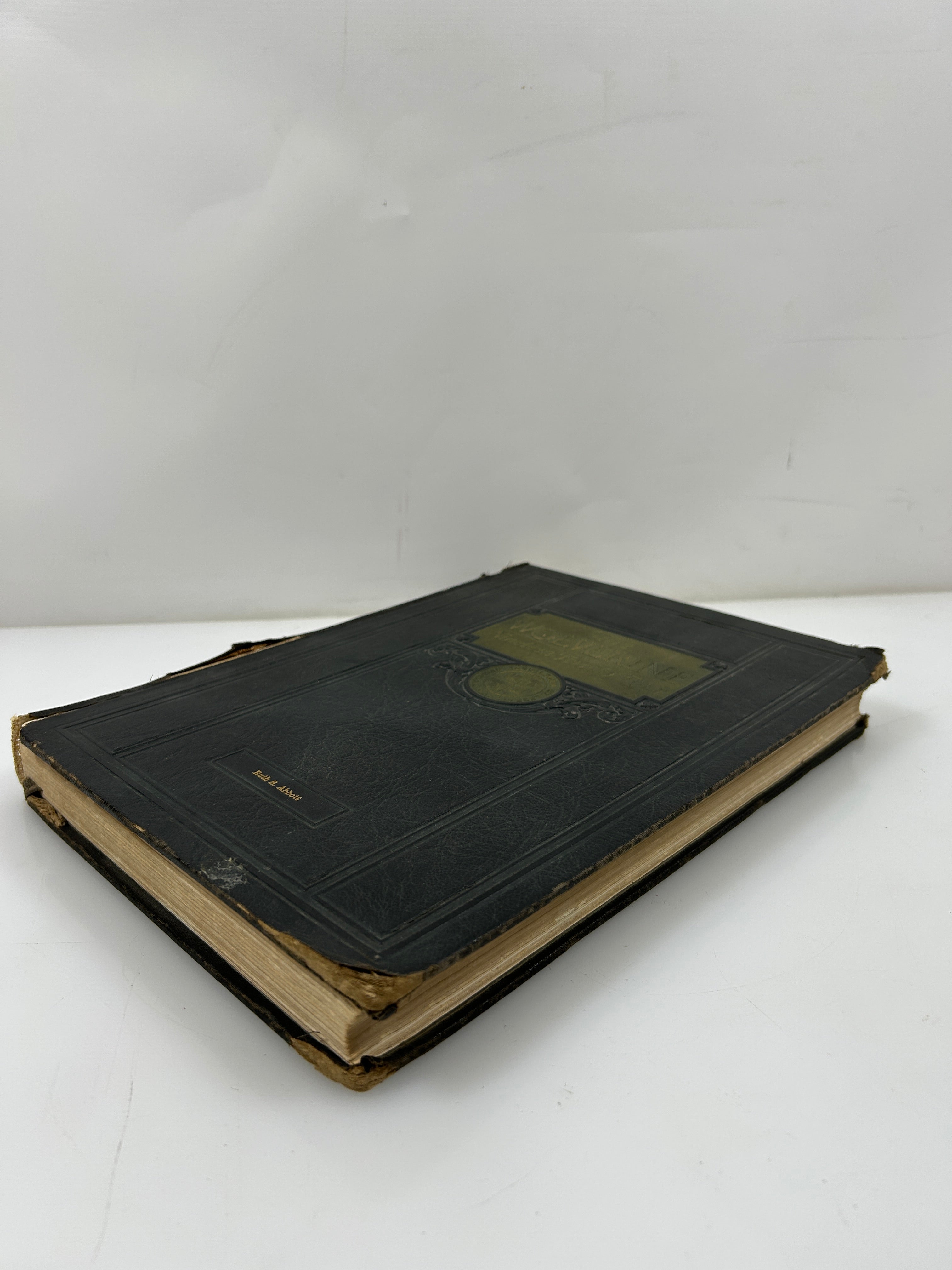 1924 Michigan Agricultural College Yearbook Wolverine