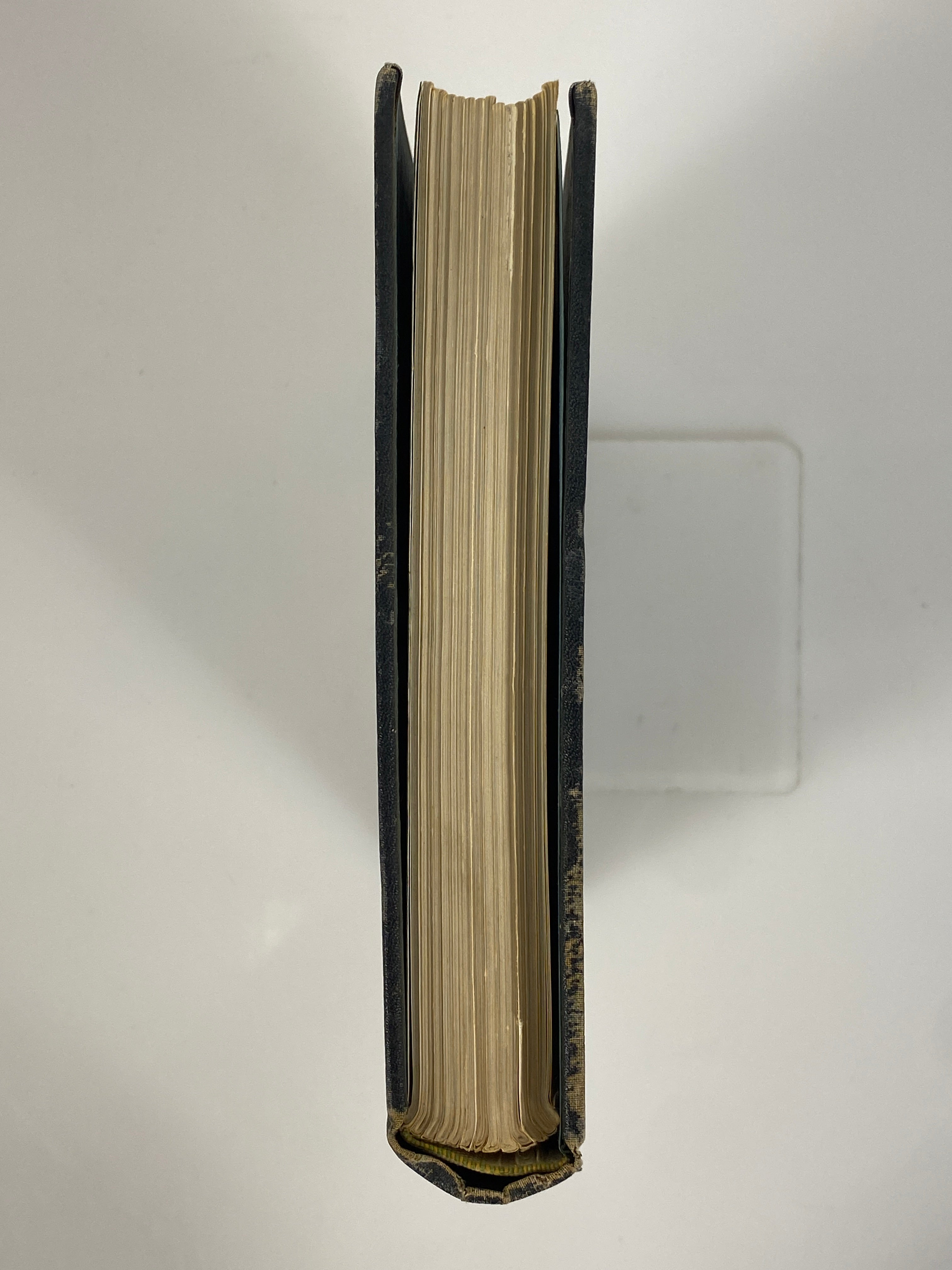 1926 Michigan State College "Wolverine" Yearbook HC