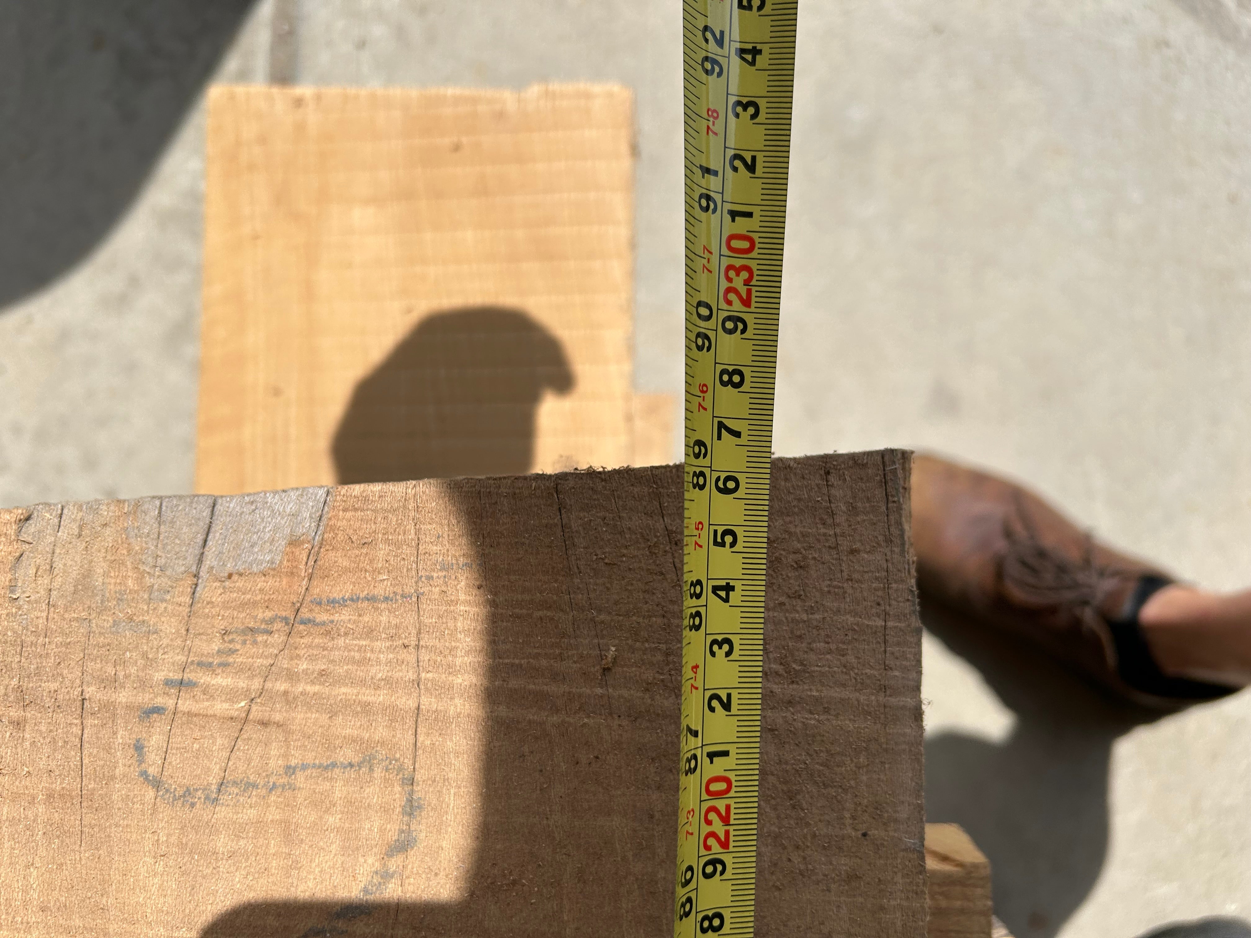 Bunk of Shadows Lumber #3