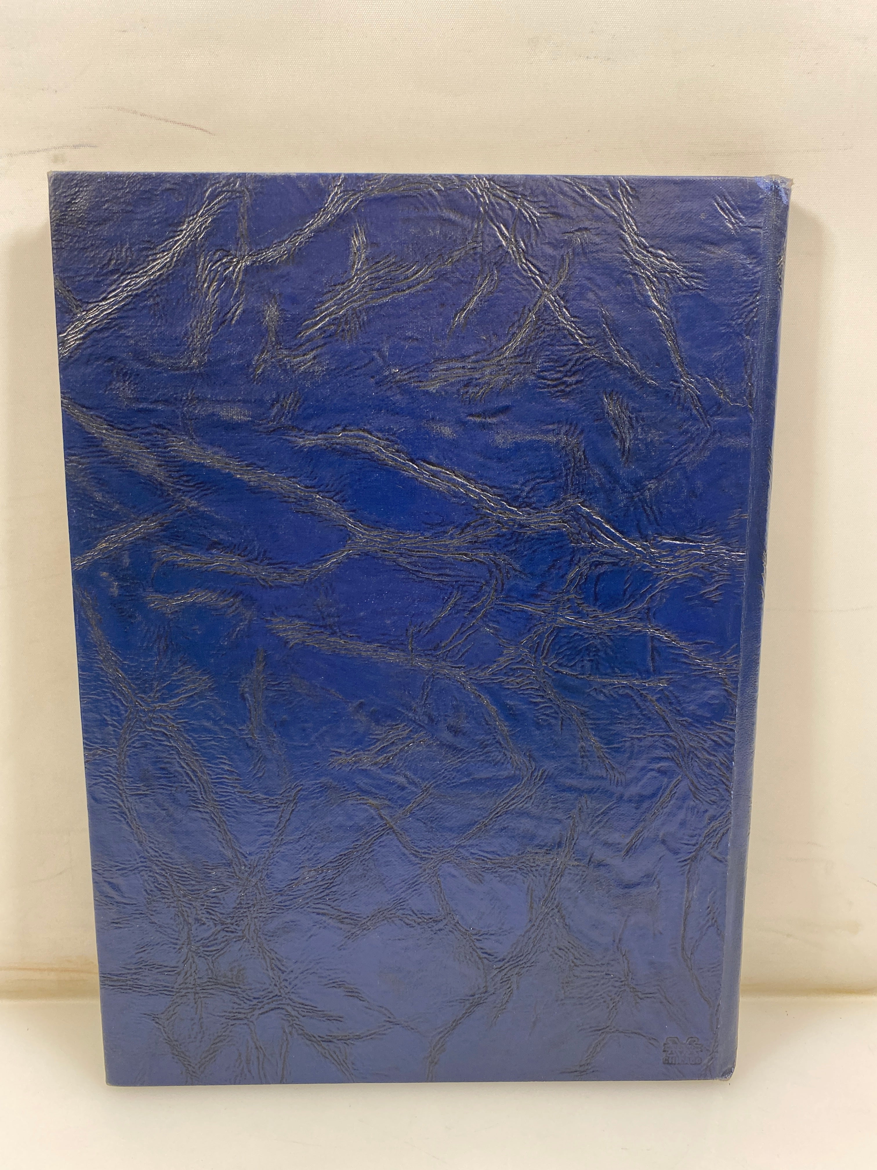 1948 Girls Catholic Central Yearbook Detroit MI HC