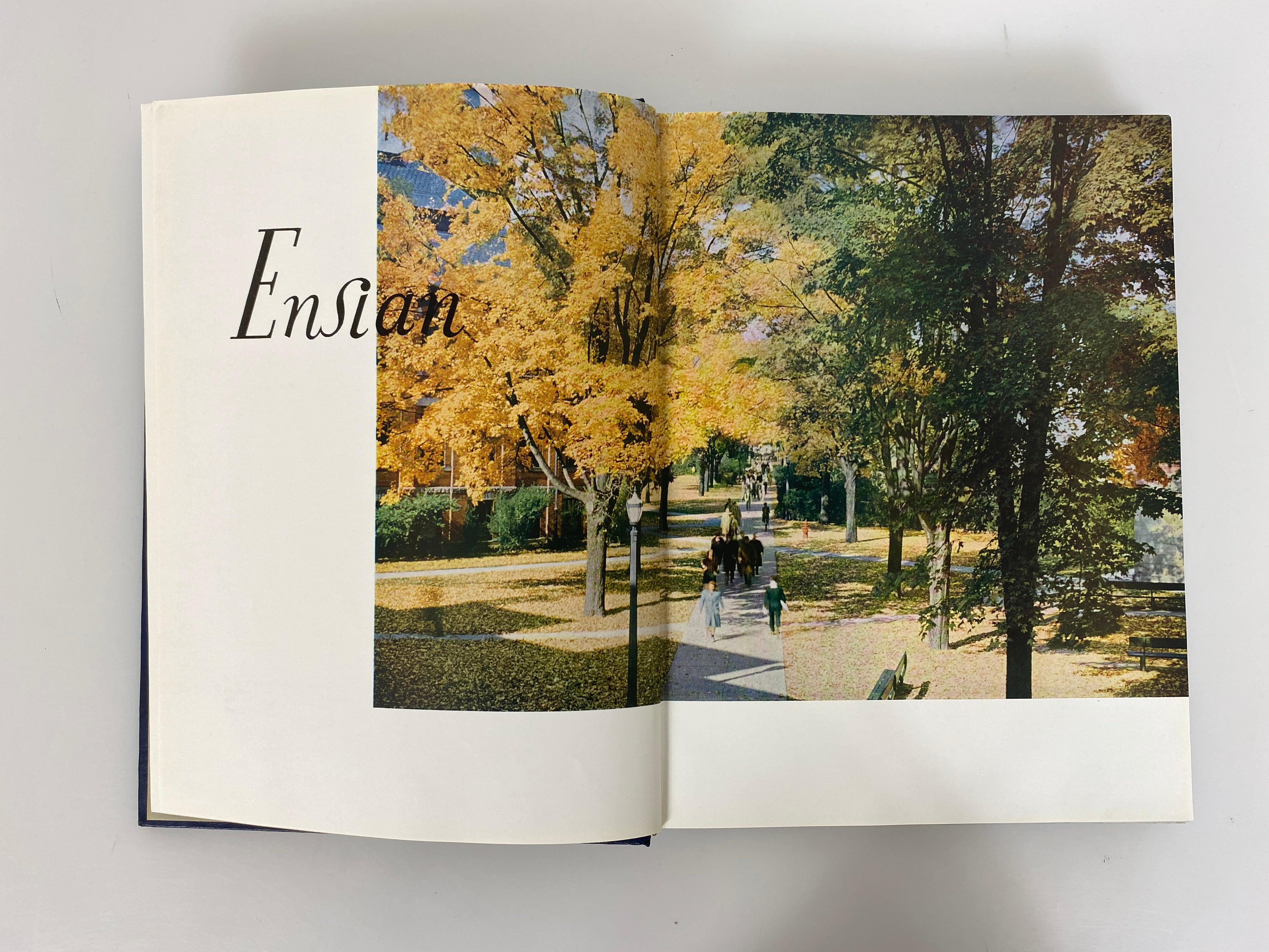 1954 University of Michigan Yearbook "Michiganensian" HC