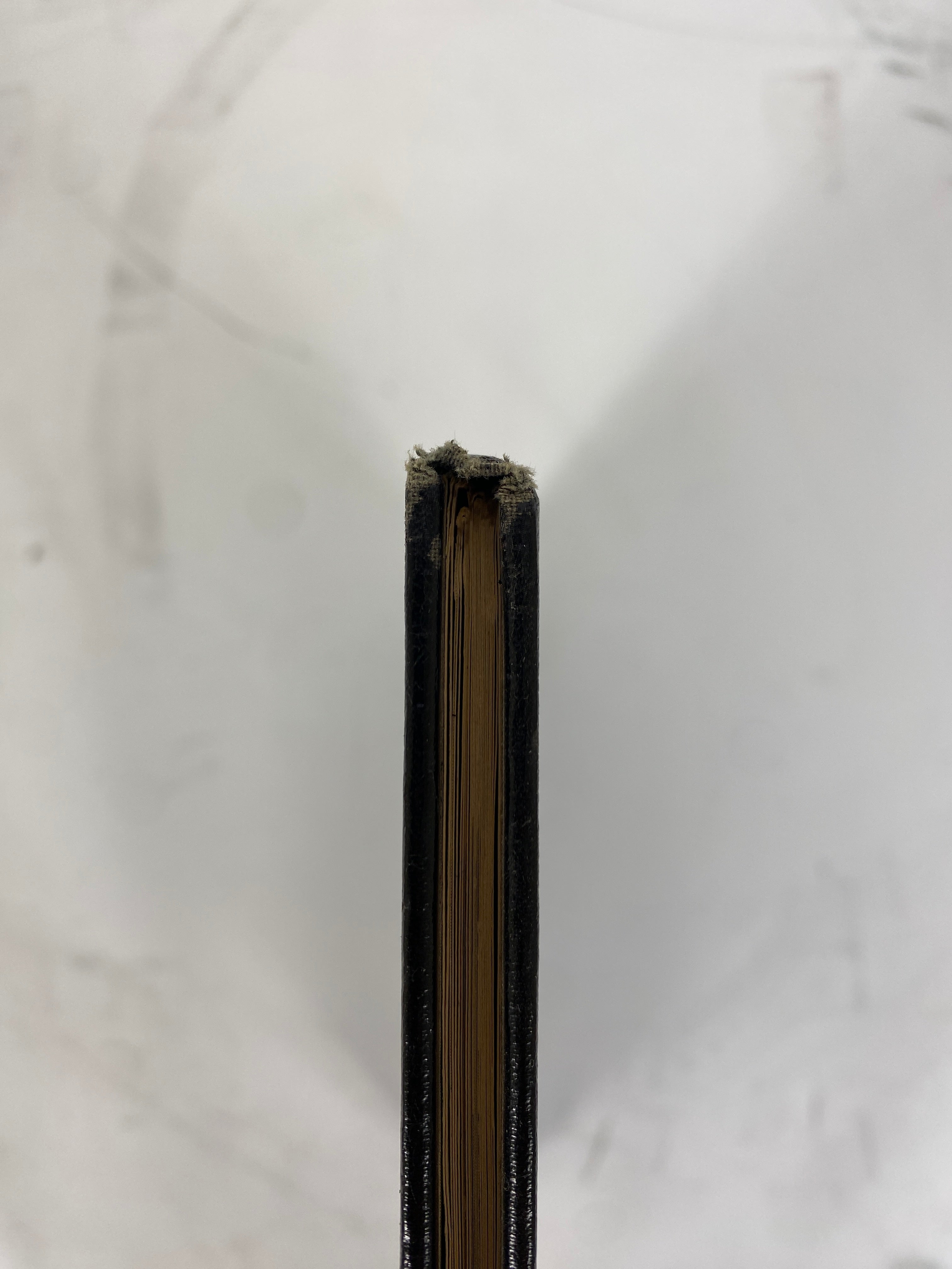 1959 Lakeland School Yearbook "The Bluejay" Coldwater Michigan HC