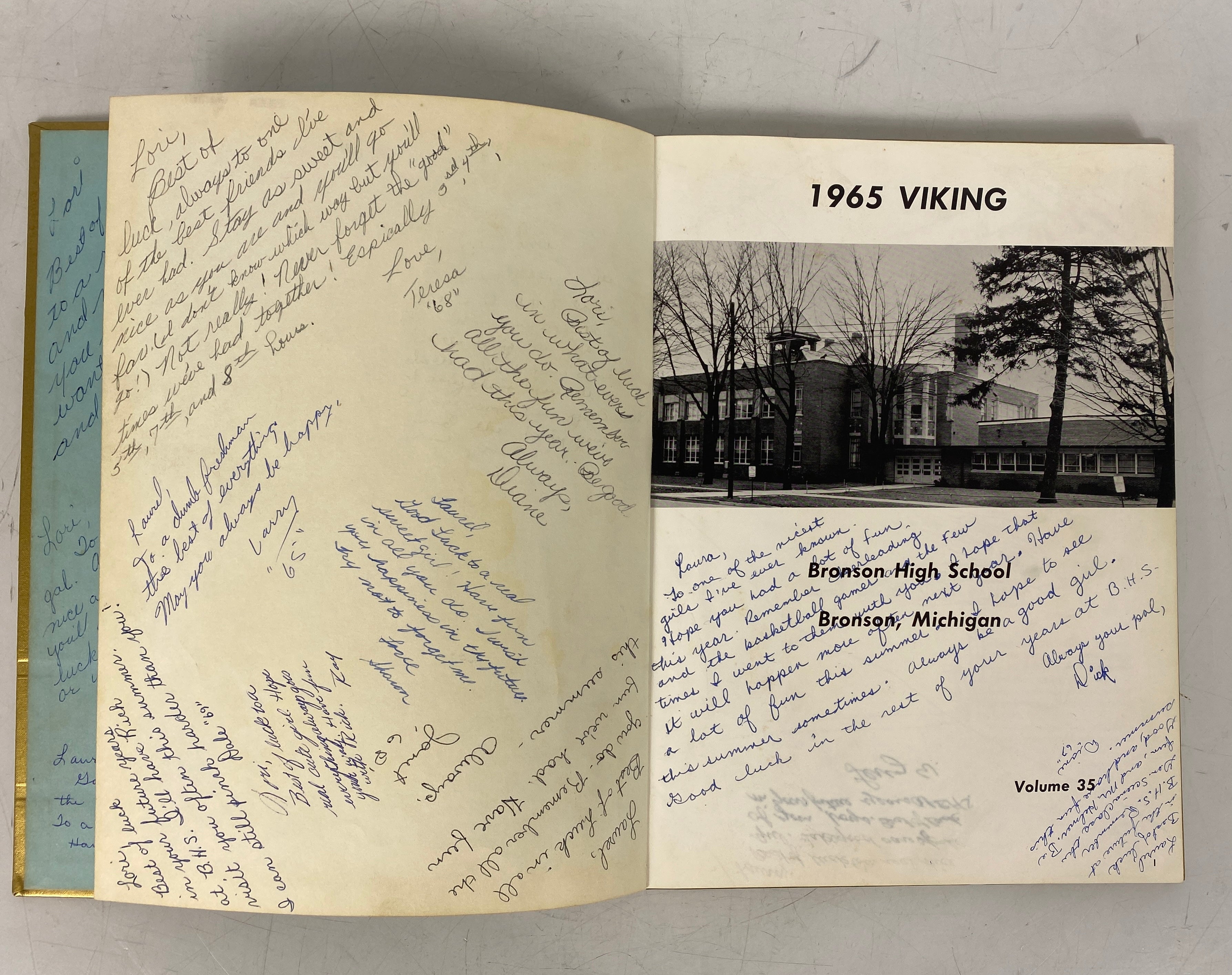 1965 Bronson High School Yearbook Bronson Michigan HC