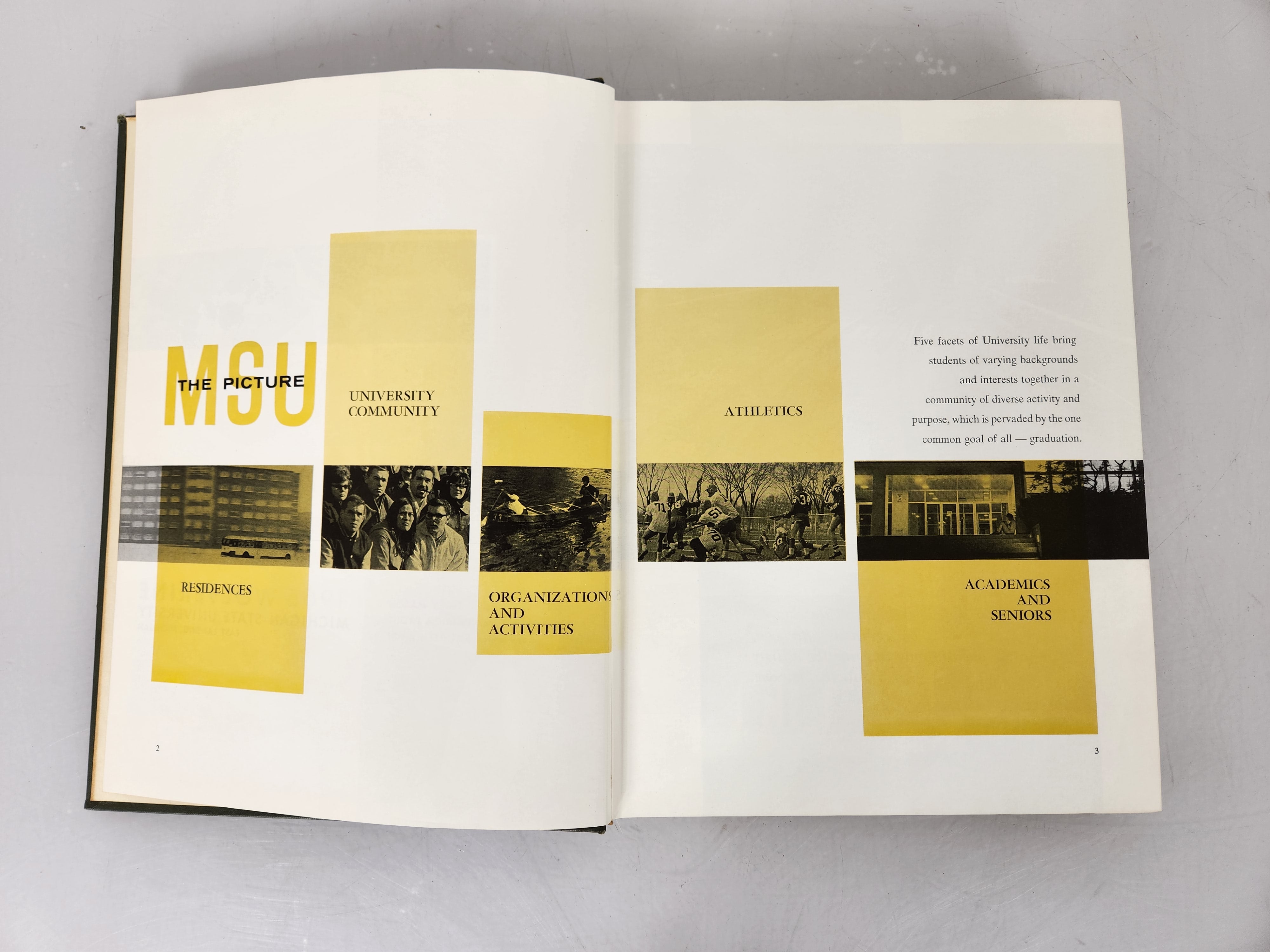 1965 Michigan State University Yearbook Wolverine