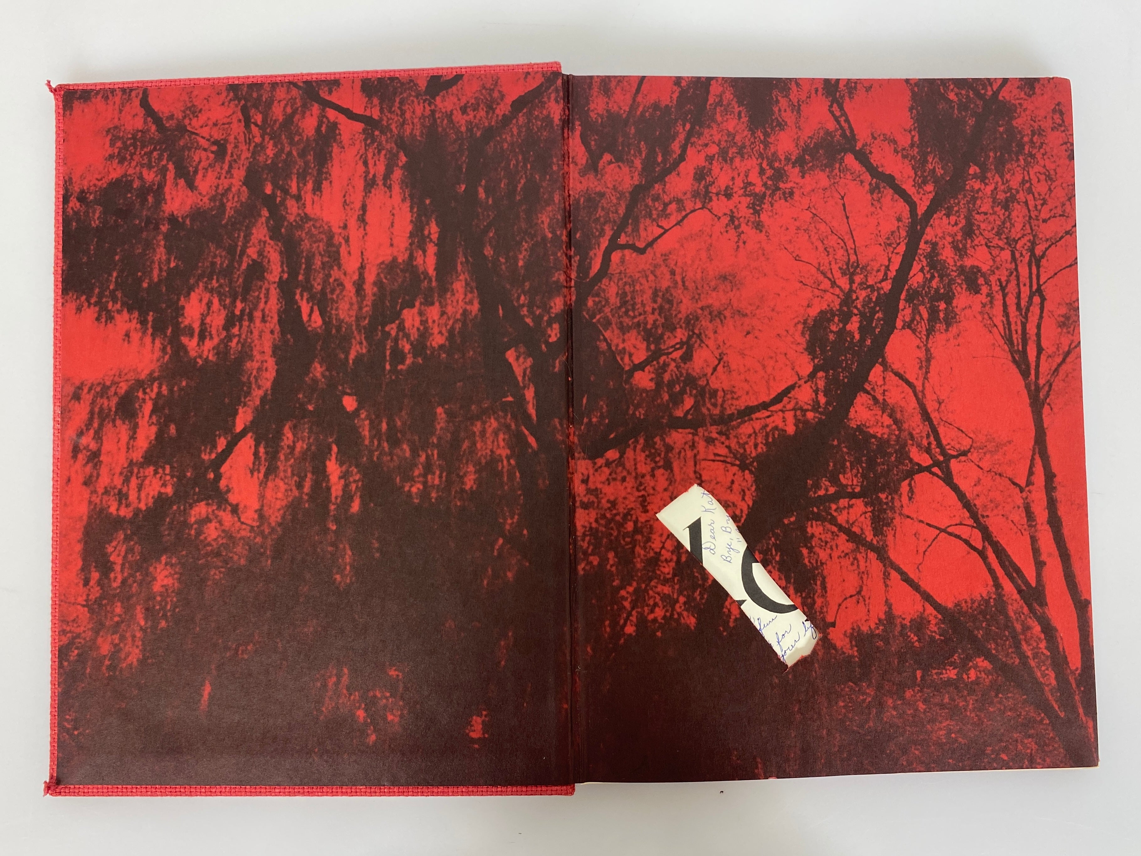 1965 Nazareth Academy Yearbook "Alexine" La Grange Park Illinois HC