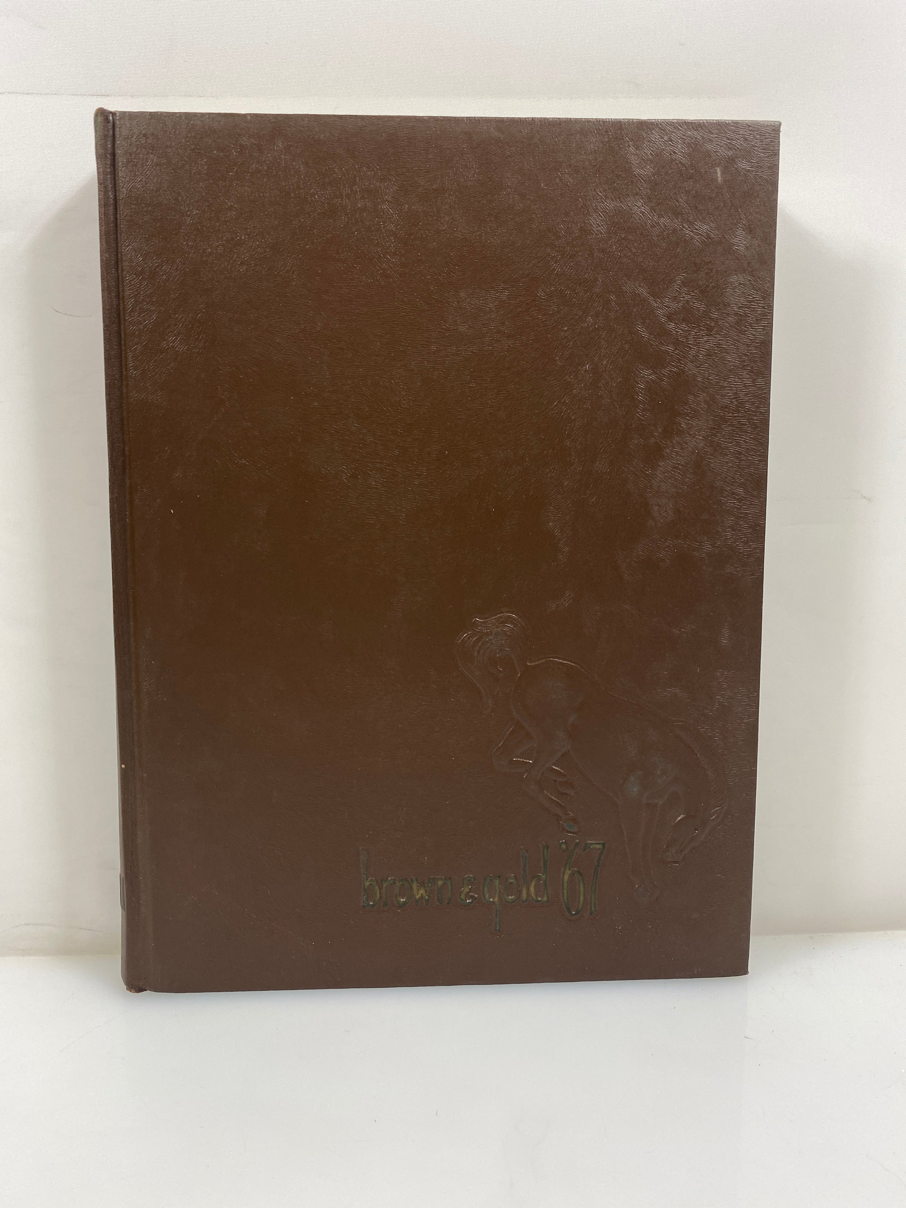 1967 "Brown & Gold" Western Michigan University Yearbook Kalamazoo MI HC