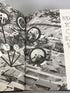 1970 Andover High School Yearbook (Bloomfield Hills Michigan) HC