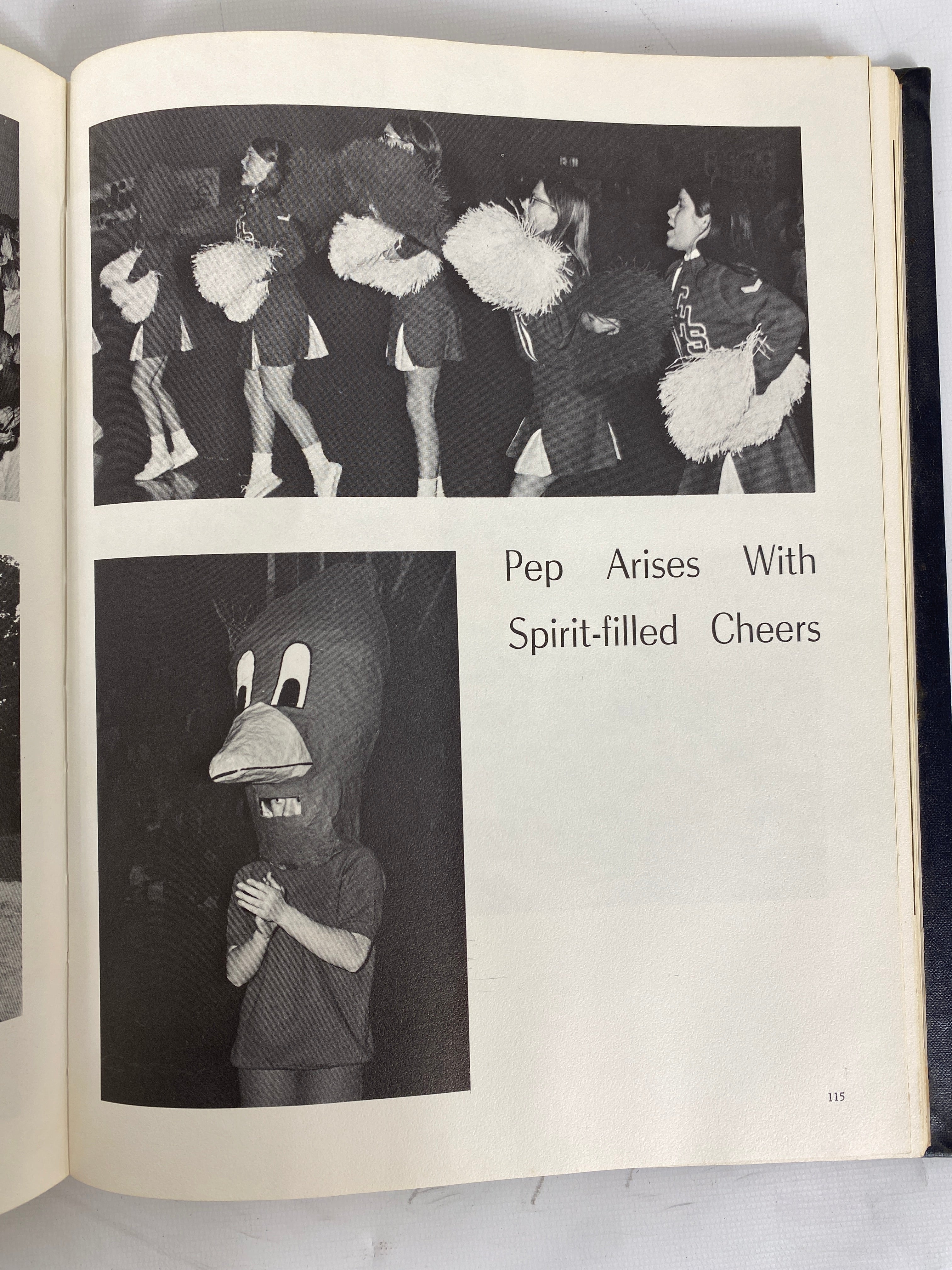 1970 Coldwater High School "Cardinal" Yearbook Coldwater Michigan HC
