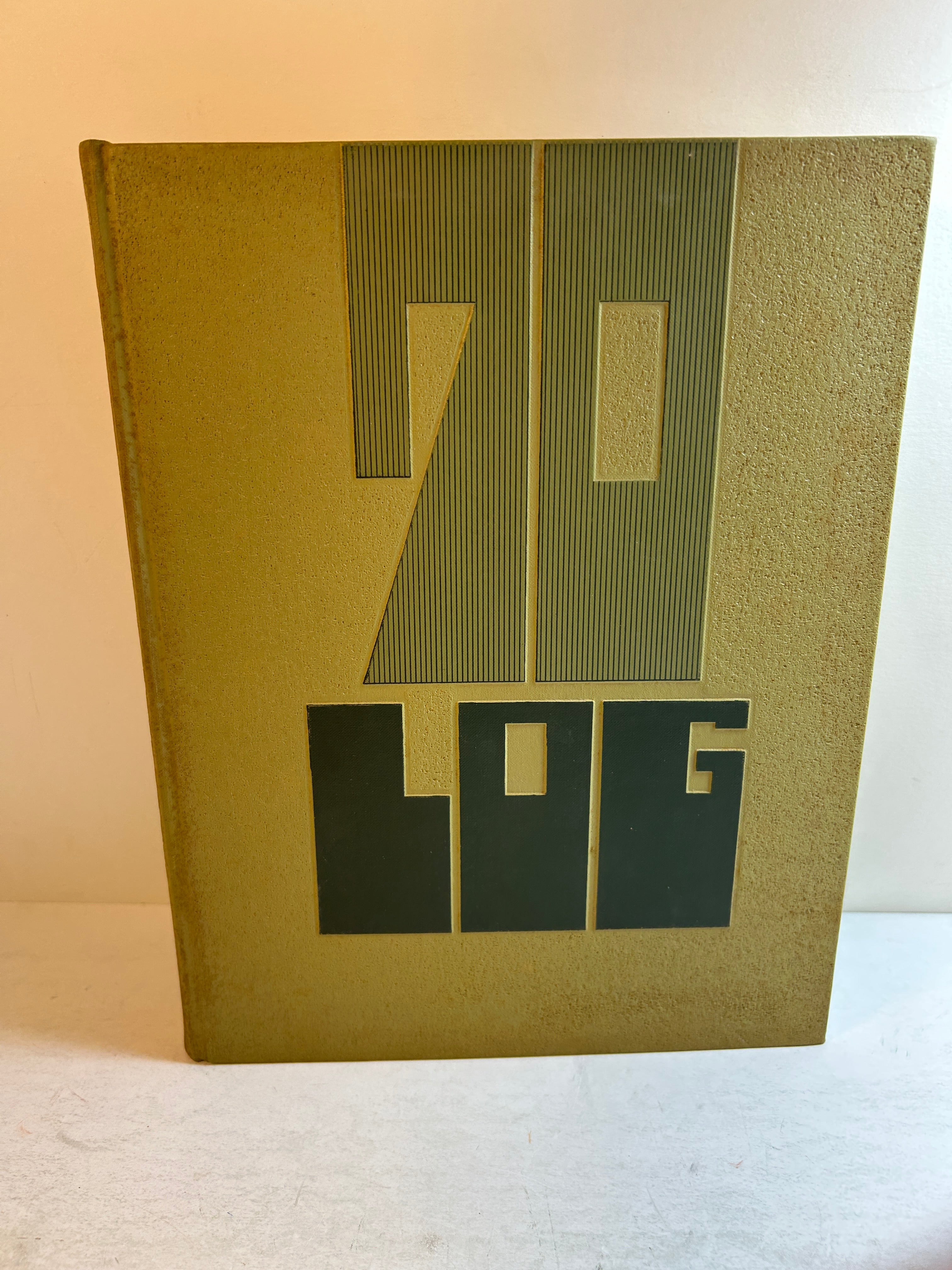 1970 "Log" Lakeview High School Yearbook Battle Creek, MI Cindy Edmonds & Beth Schindler HC