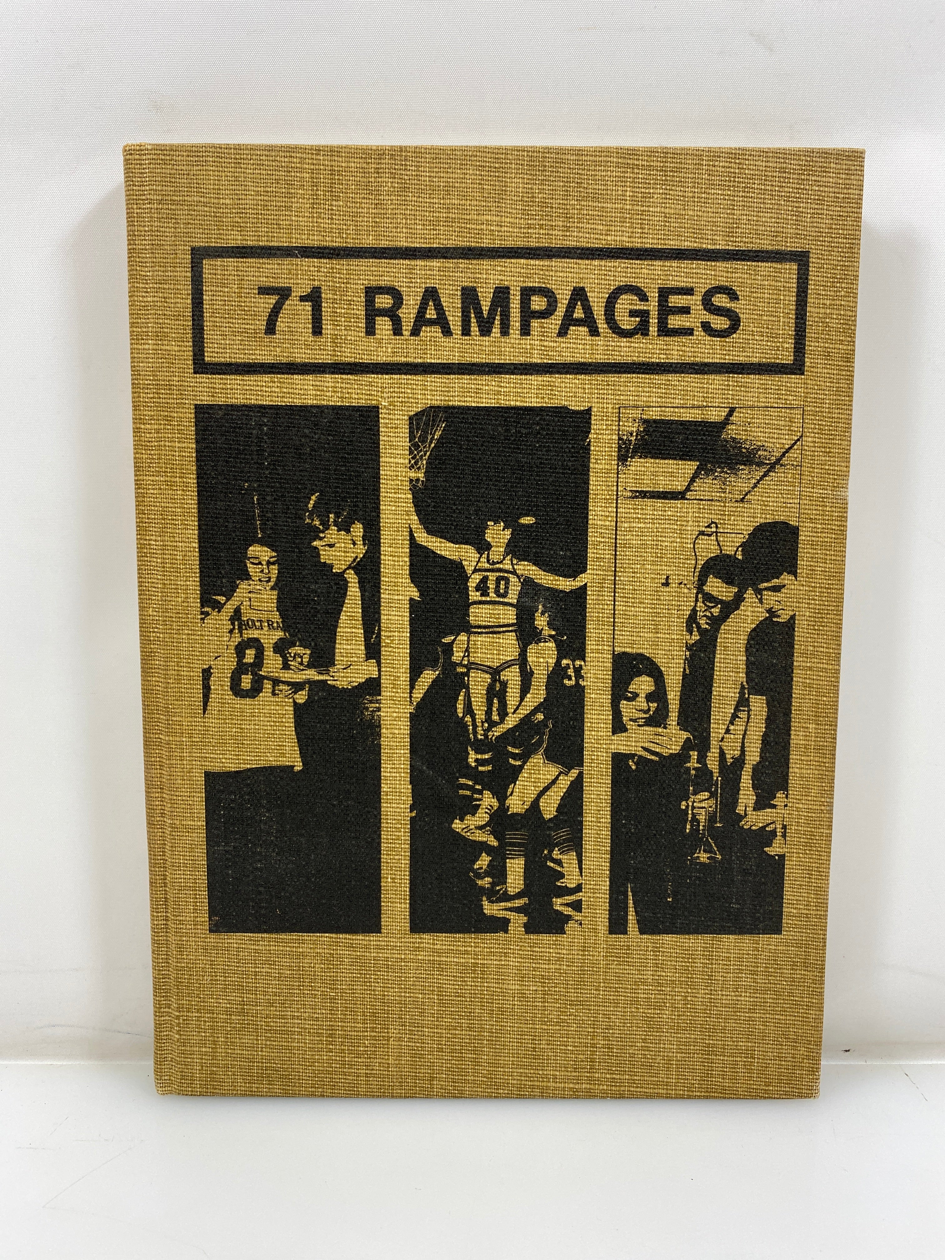 1971 "Rampages" Holt High School Yearbook Holt Michigan HC