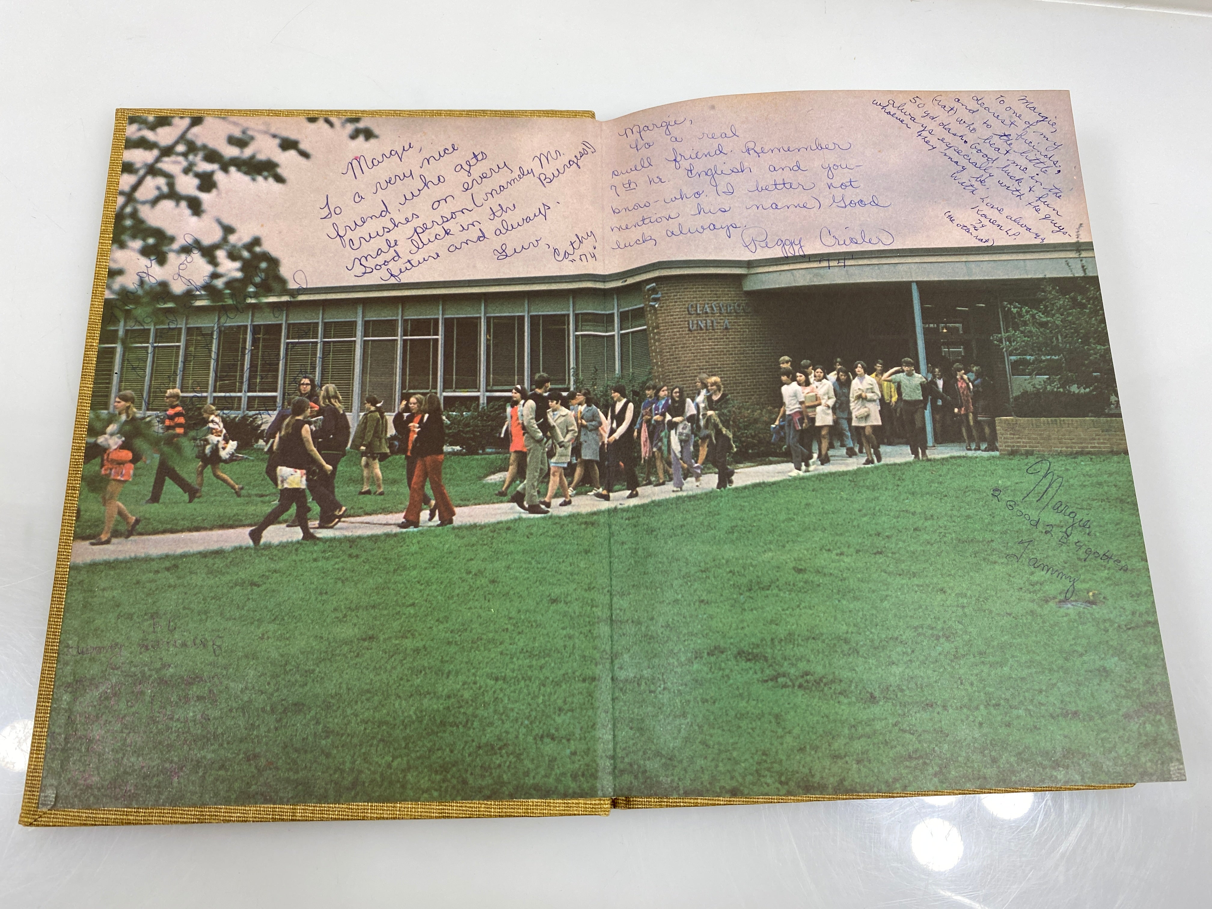 1971 "Rampages" Holt High School Yearbook Holt Michigan HC