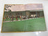 1971 "Rampages" Holt High School Yearbook Holt Michigan HC