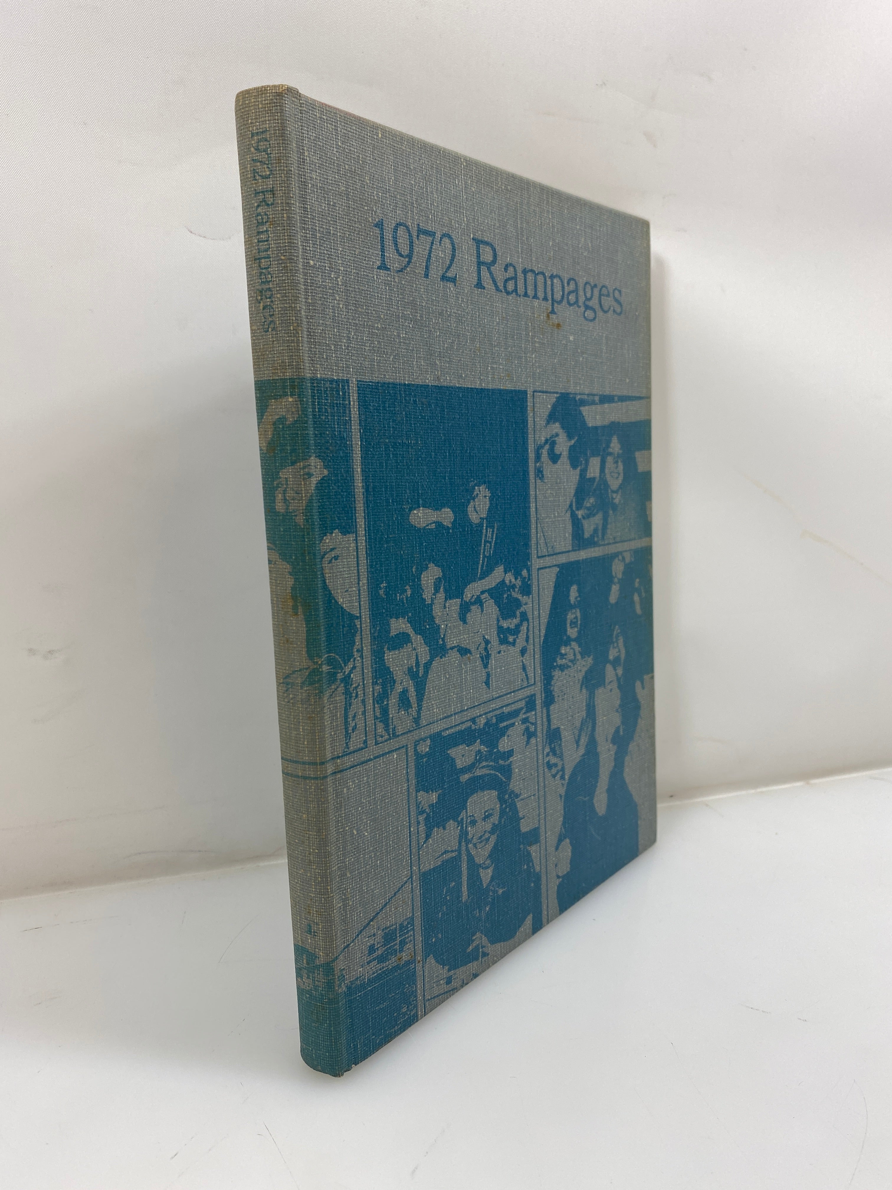 1972 "Rampages" Holt High School Yearbook Holt Michigan HC