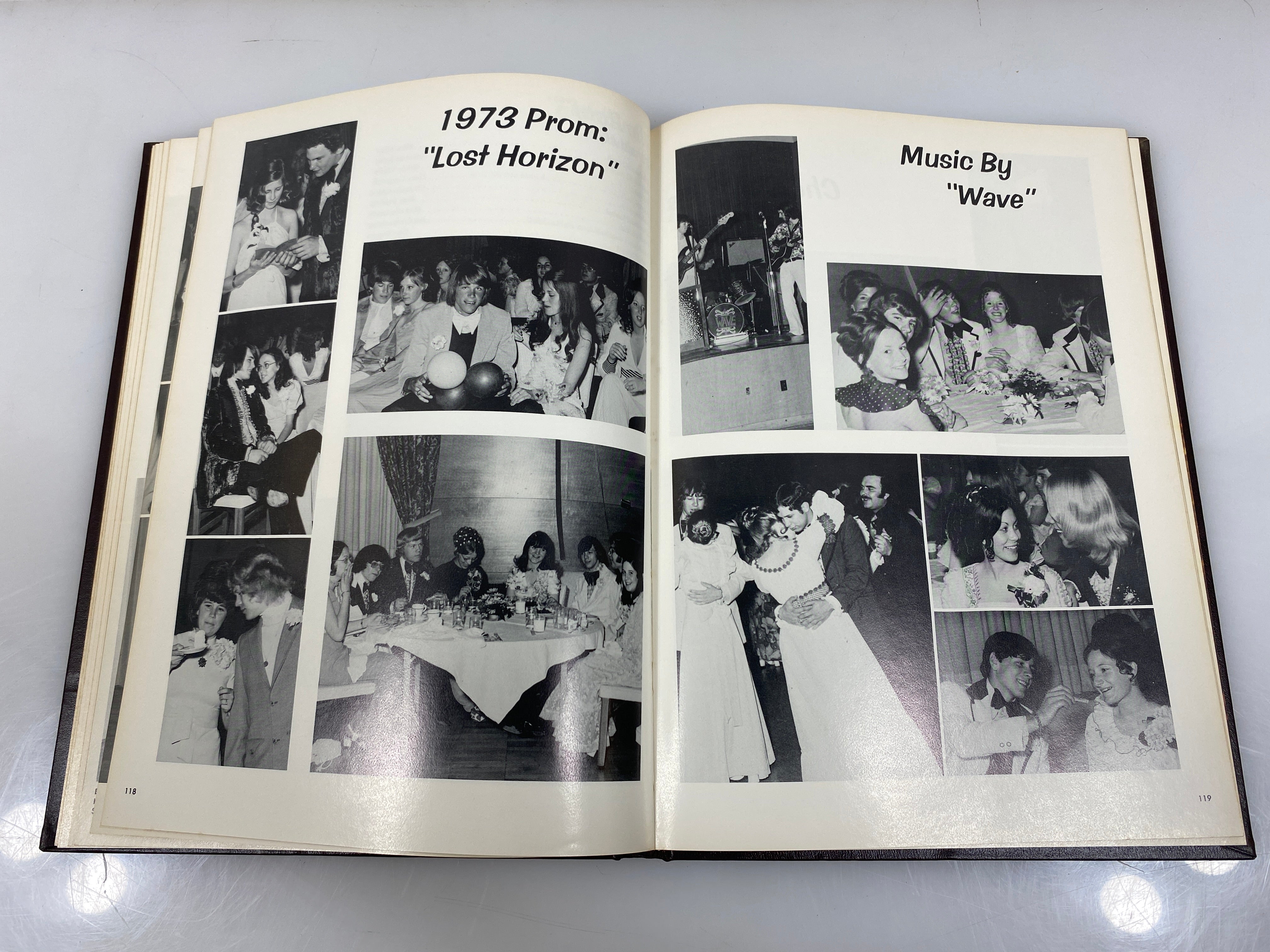 1973 "Rampages" Holt High School Yearbook Holt Michigan HC