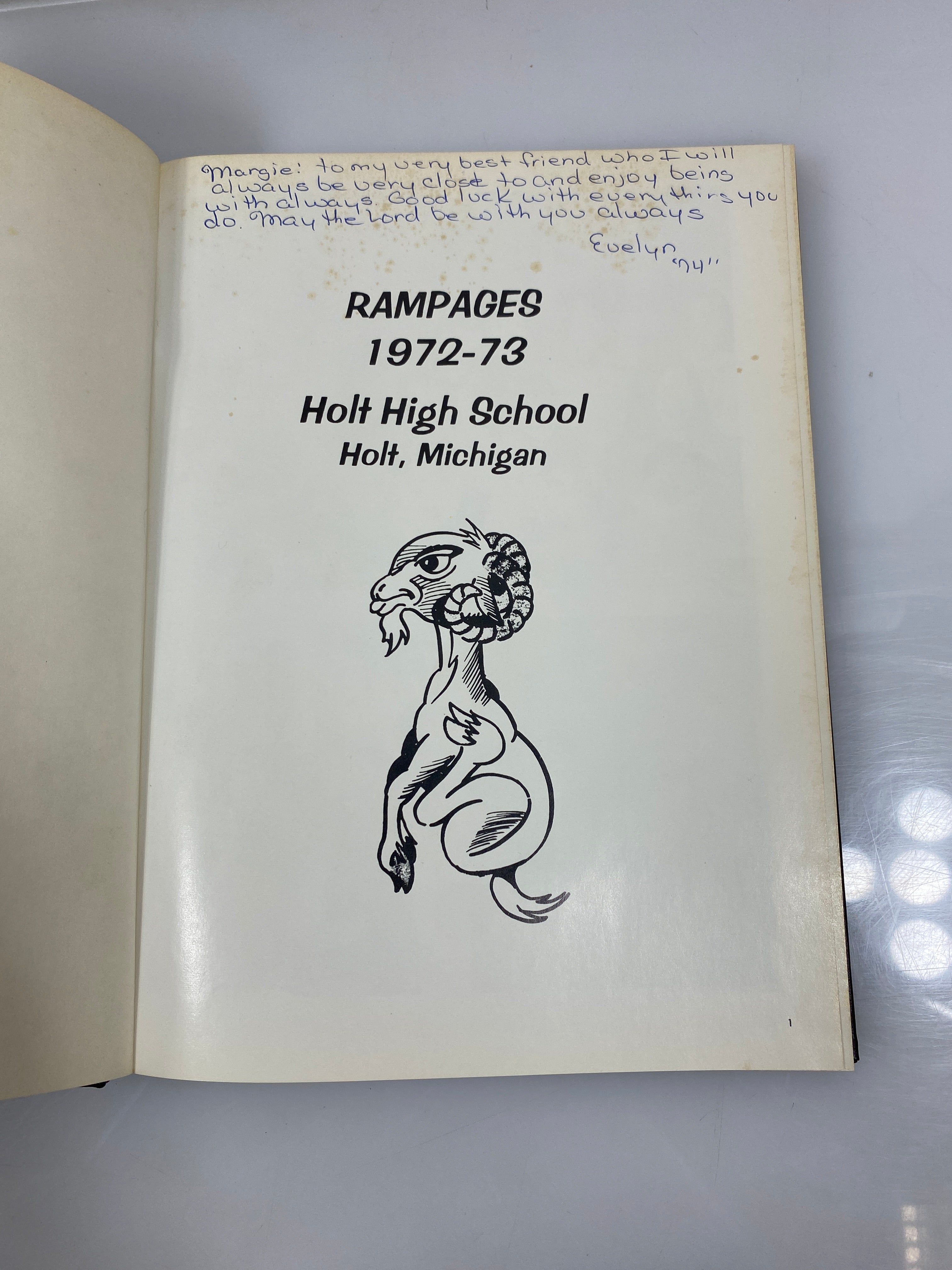 1973 "Rampages" Holt High School Yearbook Holt Michigan HC
