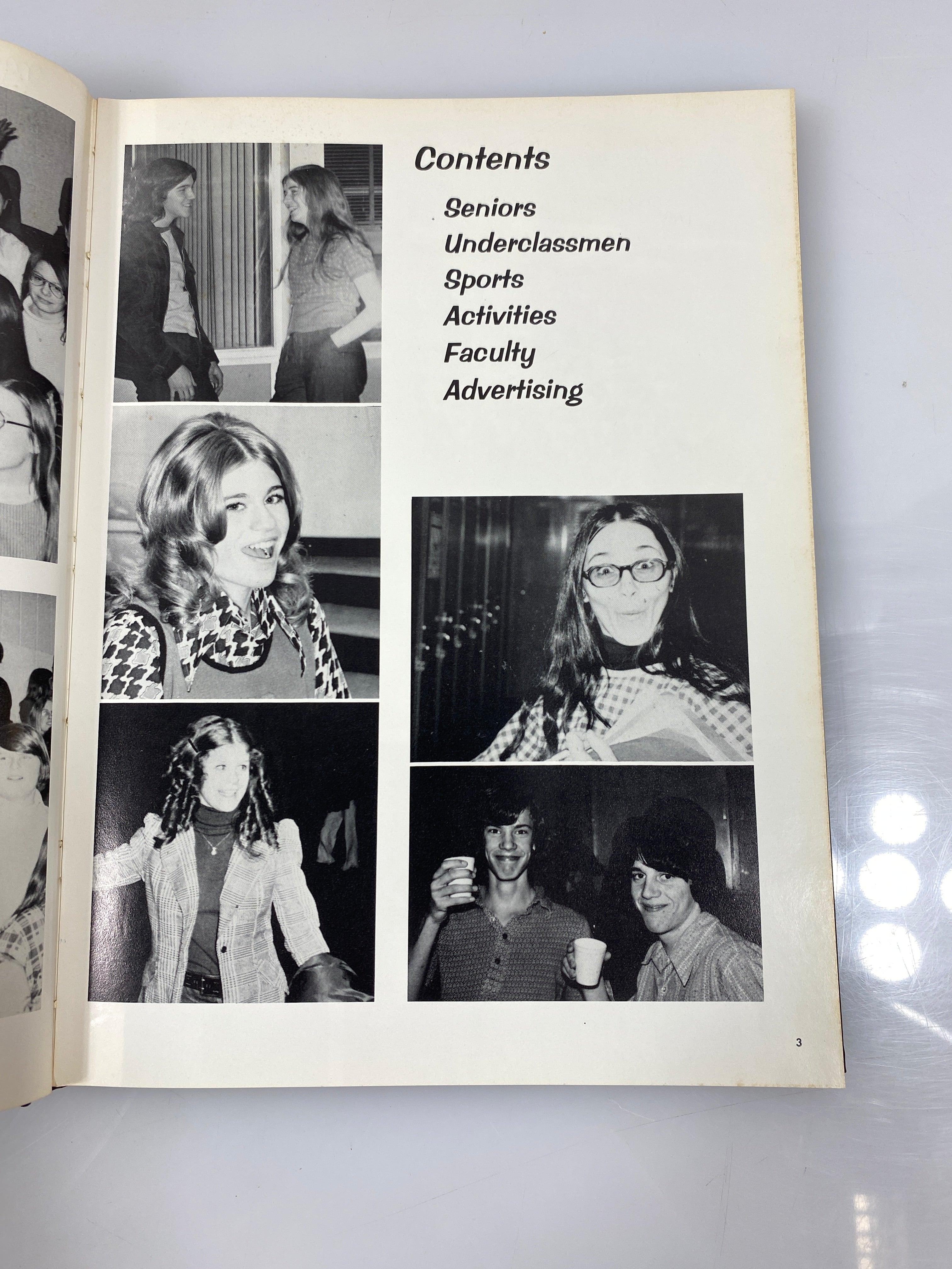 1973 "Rampages" Holt High School Yearbook Holt Michigan HC
