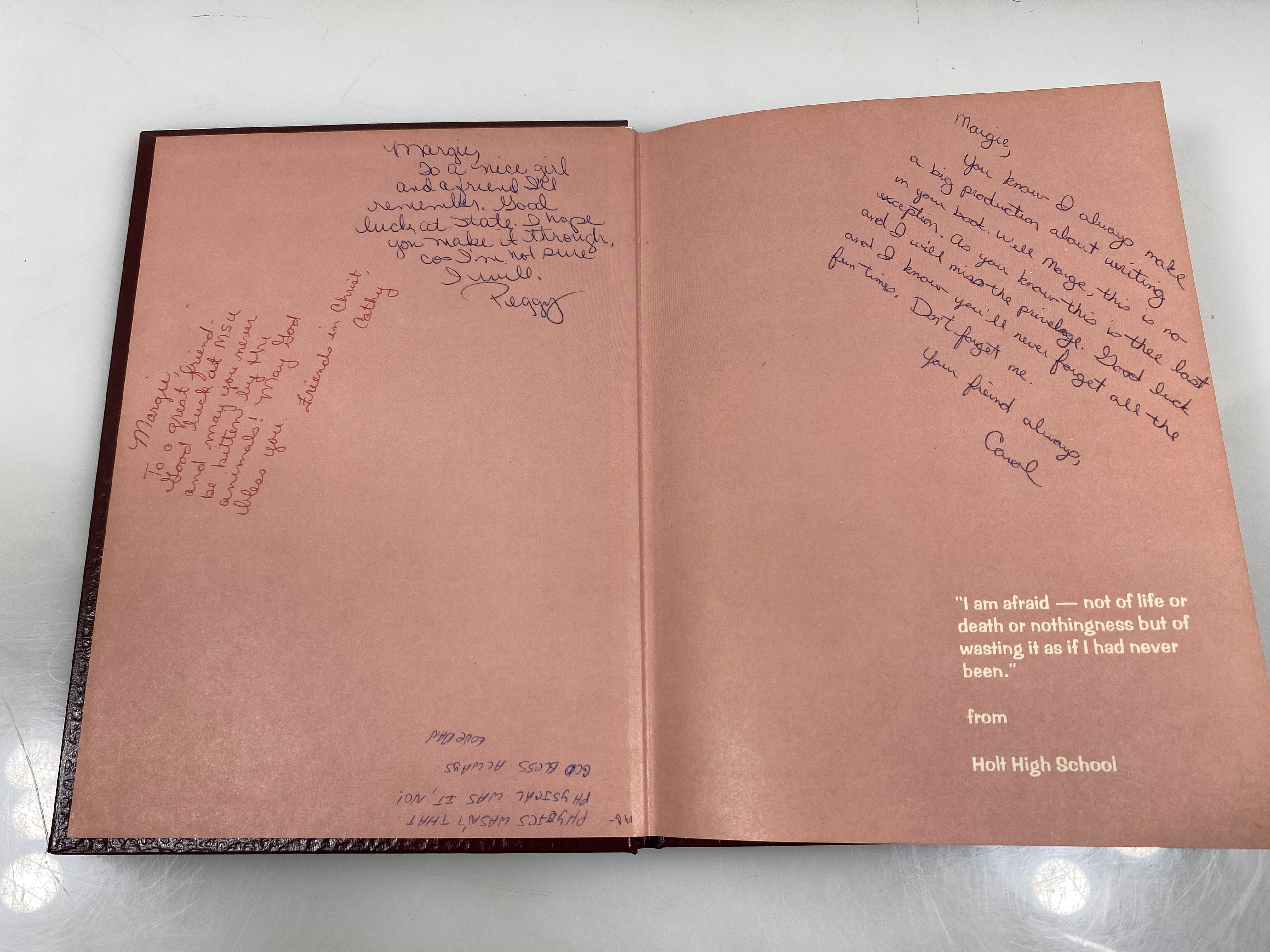 1974 "Rampages" Holt High School Yearbook Holt Michigan HC