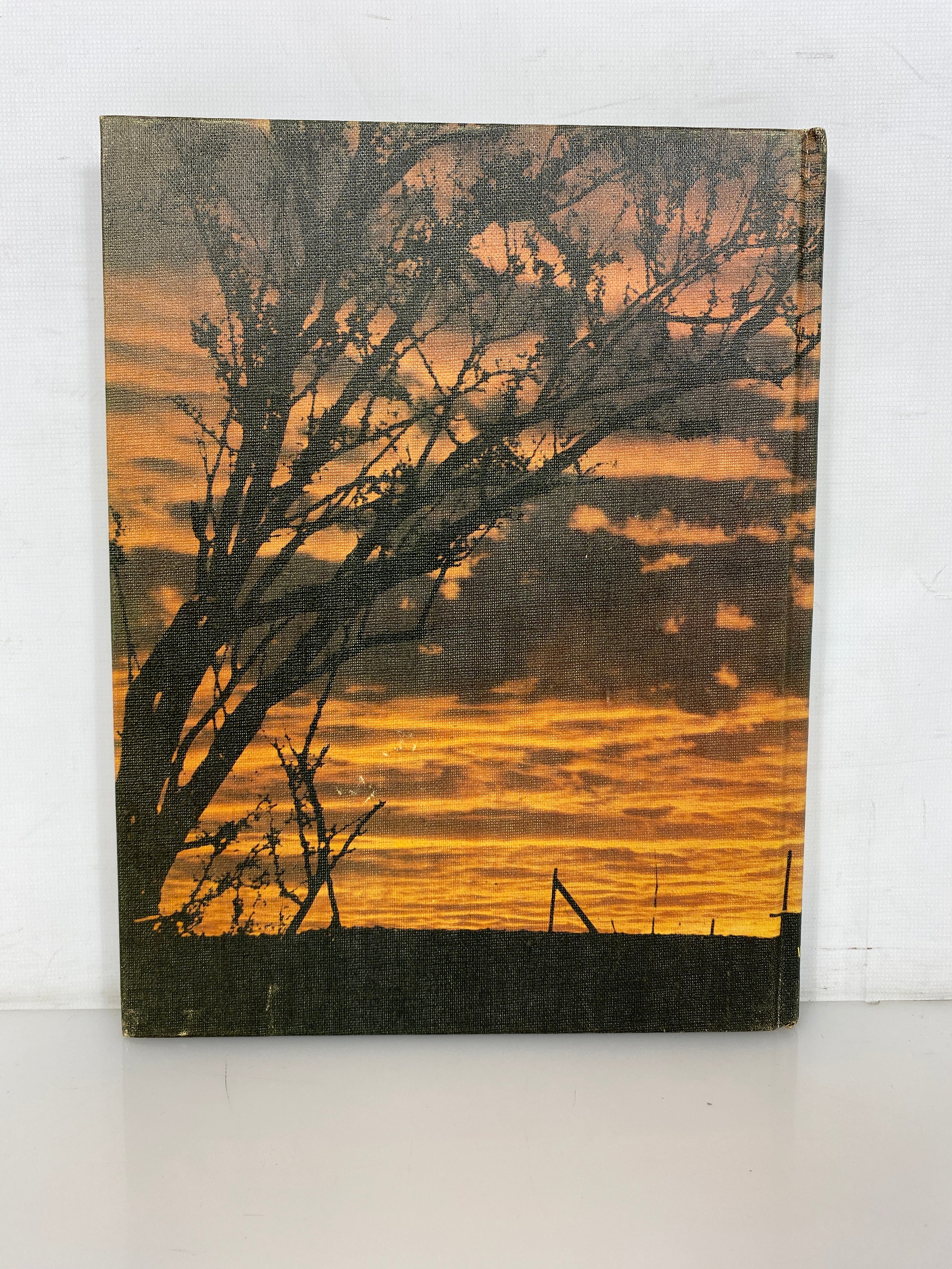 1977 Salpointe Catholic High School Yearbook Tucson Arizona HC