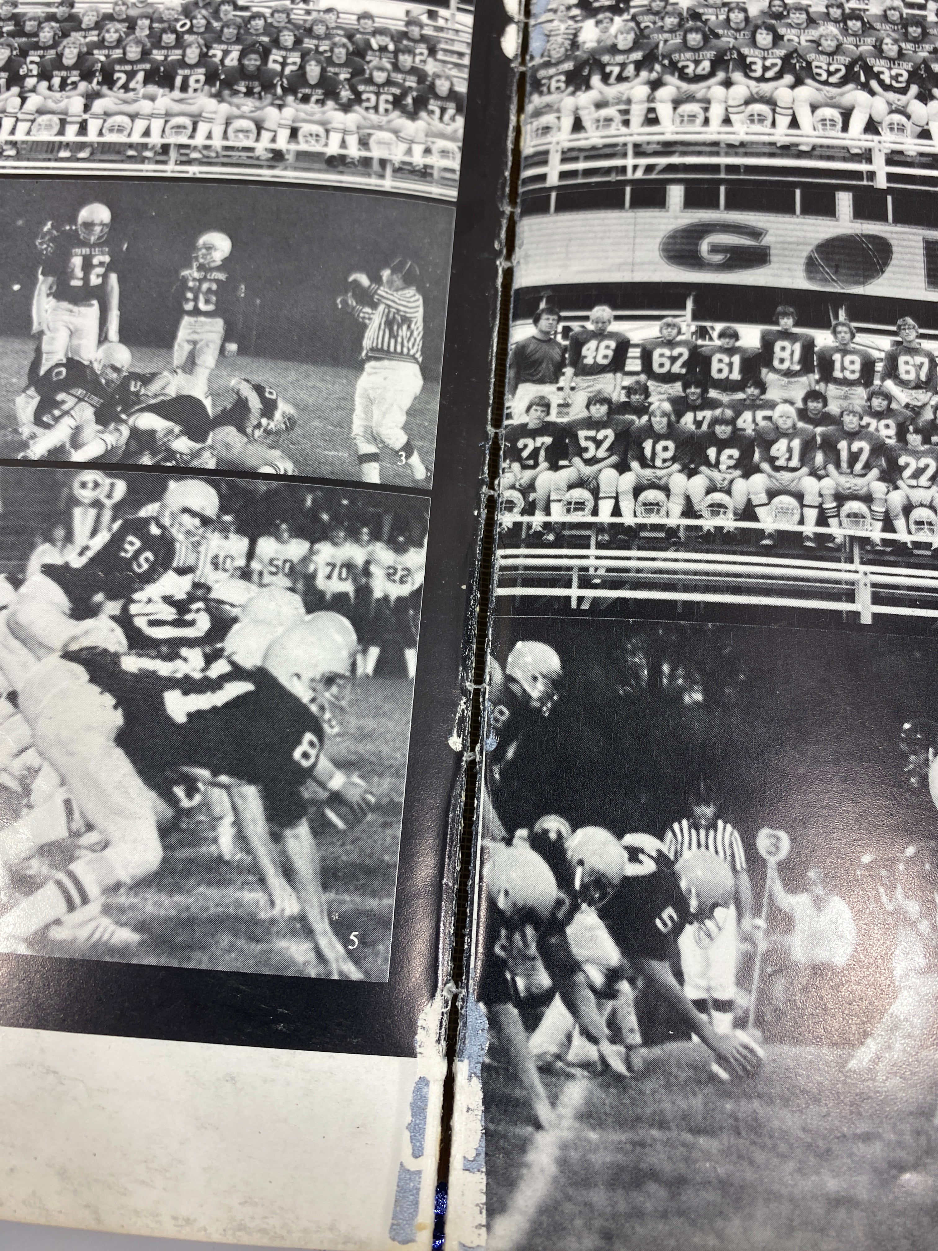 1979 Grand Ledge High School Yearbook Grand Ledge Michigan HC