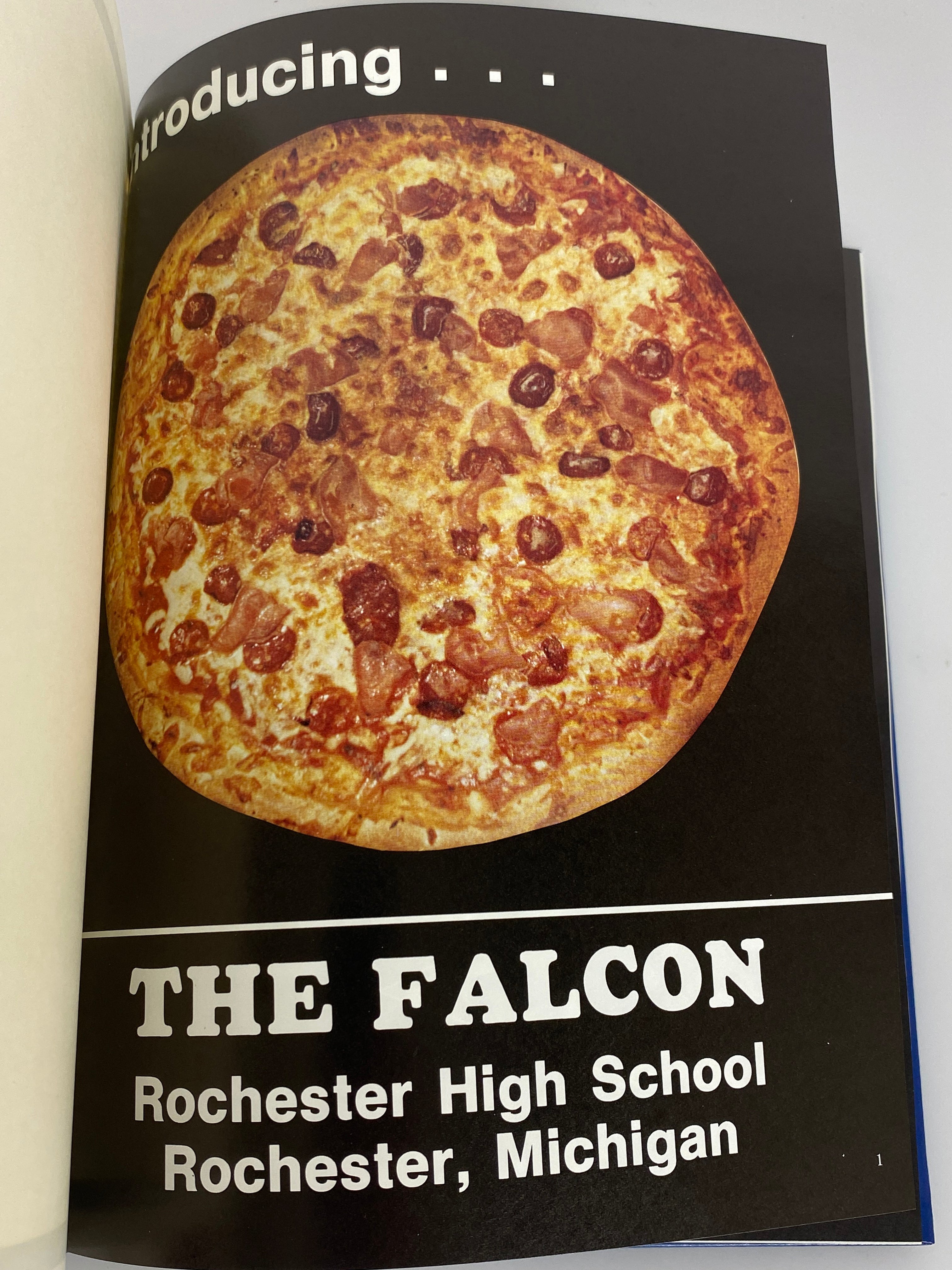 1980 Rochester High School Yearbook "Falcon" Rochester Michigan HC