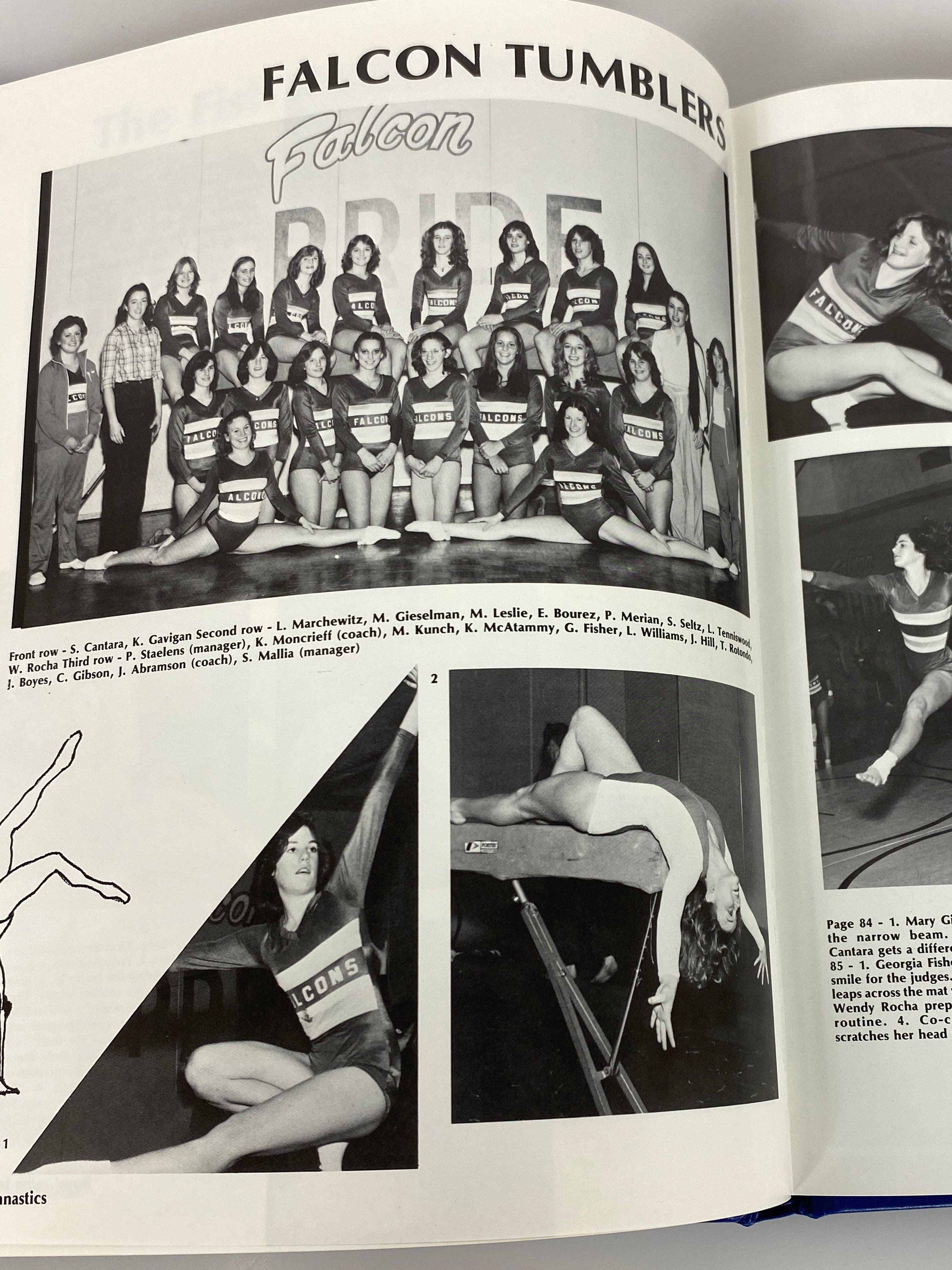 1980 Rochester High School Yearbook "Falcon" Rochester Michigan HC