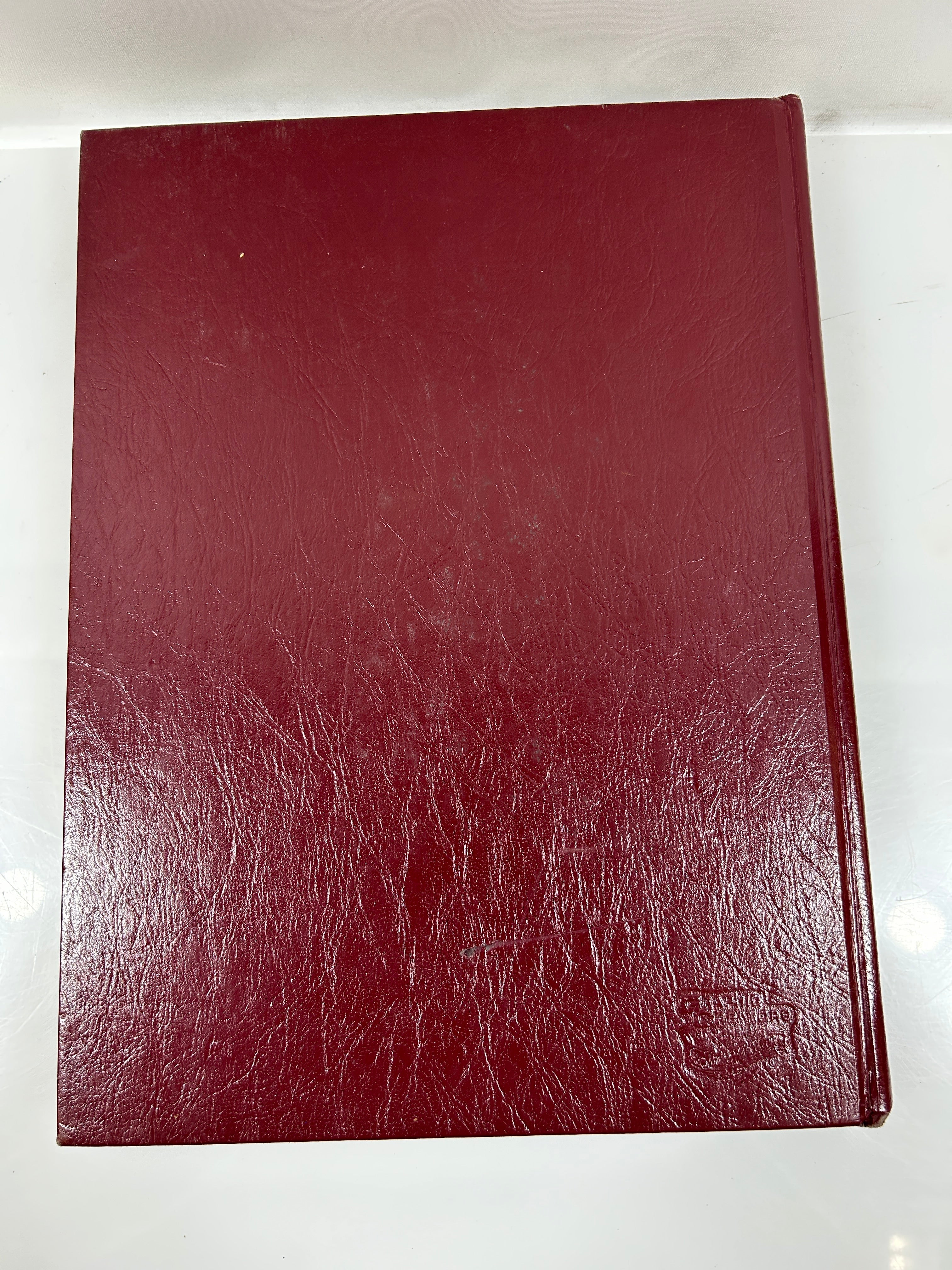 1981 Belleville High School Yearbook Belleville Michigan HC