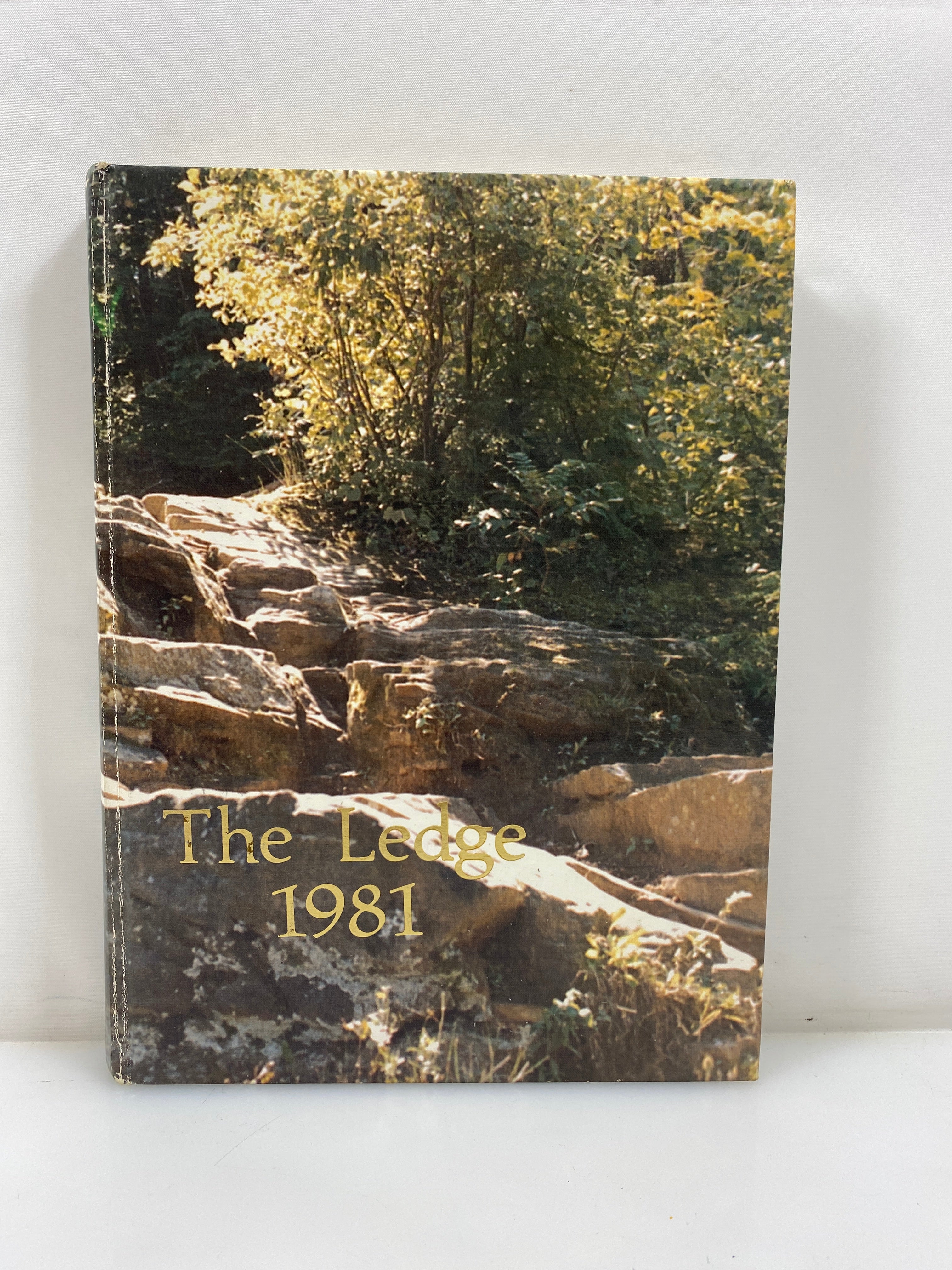 1981 Grand Ledge High School Yearbook Grand Ledge Michigan HC