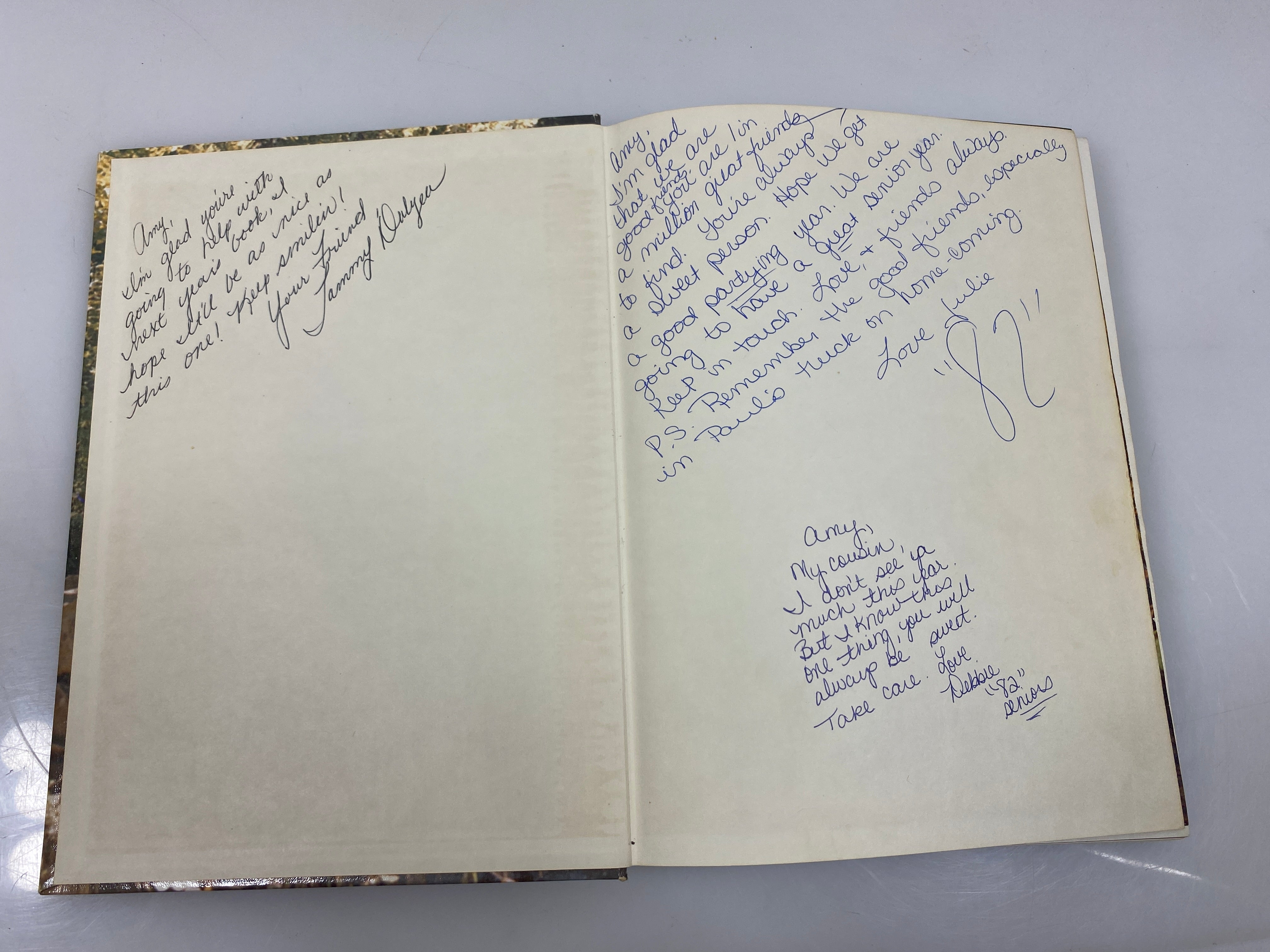 1981 Grand Ledge High School Yearbook Grand Ledge Michigan HC