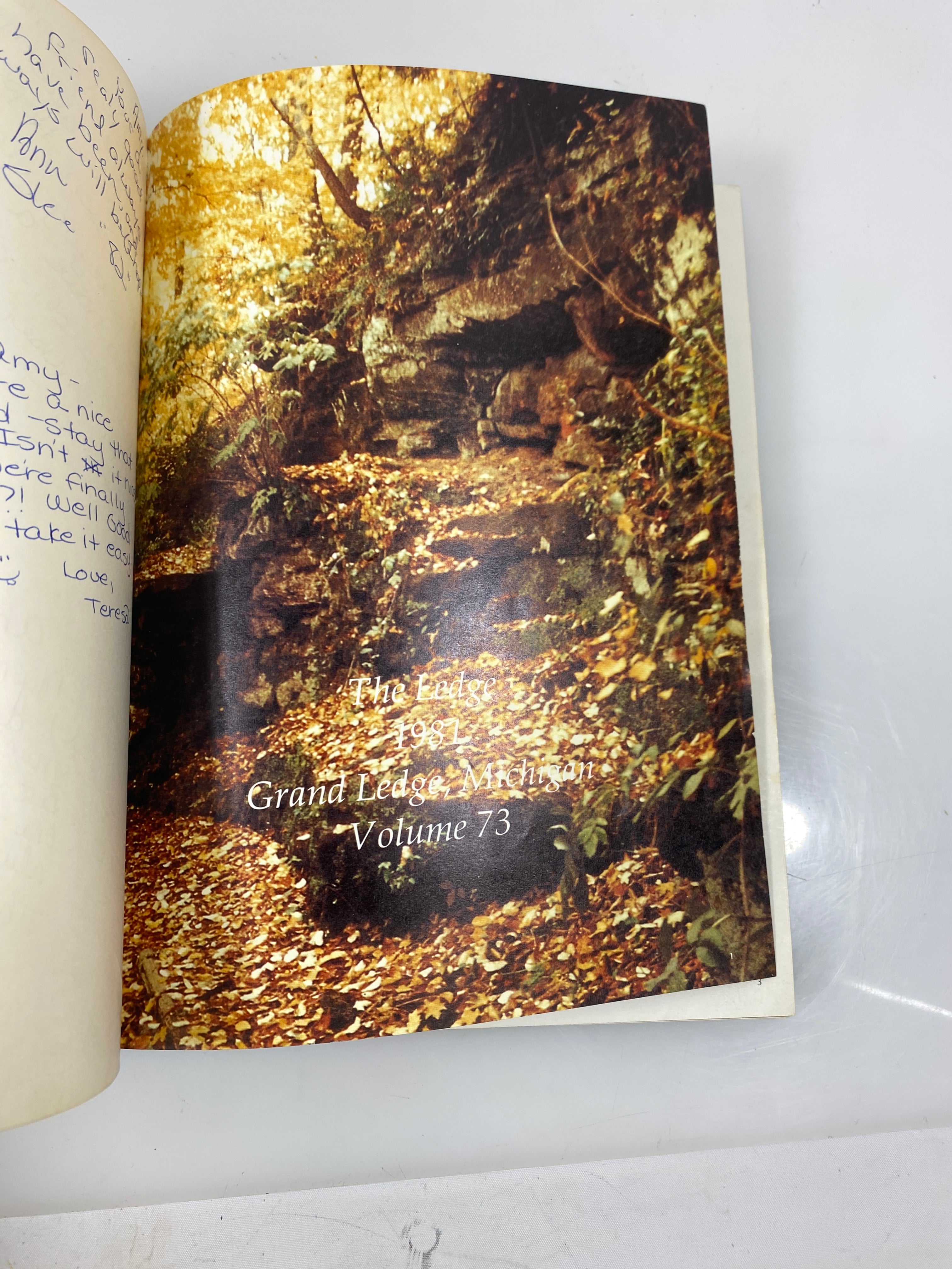1981 Grand Ledge High School Yearbook Grand Ledge Michigan HC