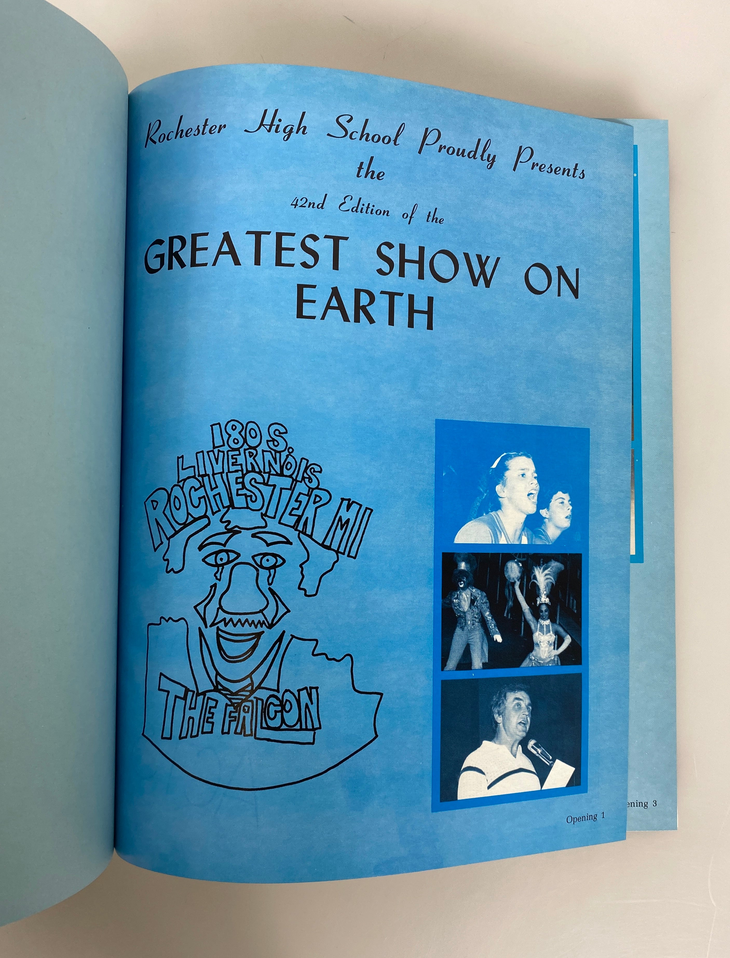 1981 Rochester High School Yearbook "Falcon" Rochester Michigan HC