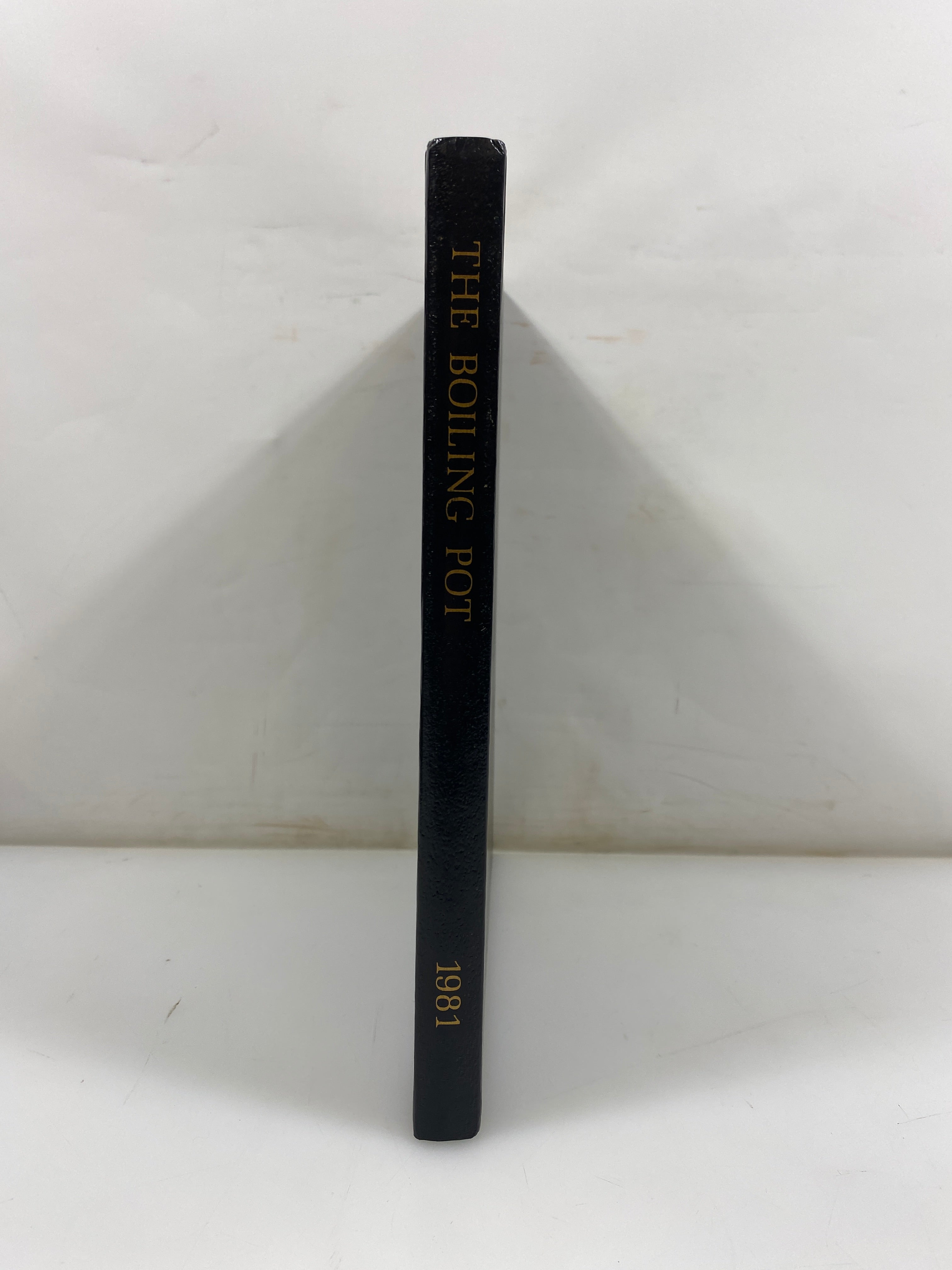 1981 "The Boiling Pot" Kalamazoo College Yearbook Kalamazoo, MI HC